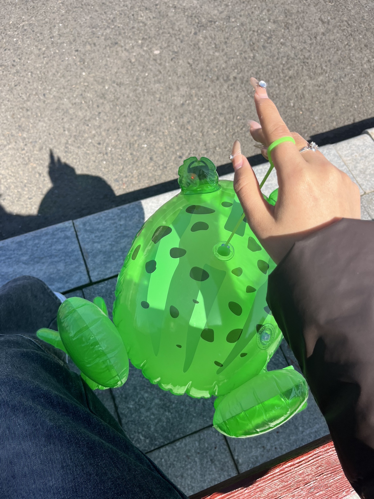 青岛世界园艺博览园旅行图片 2