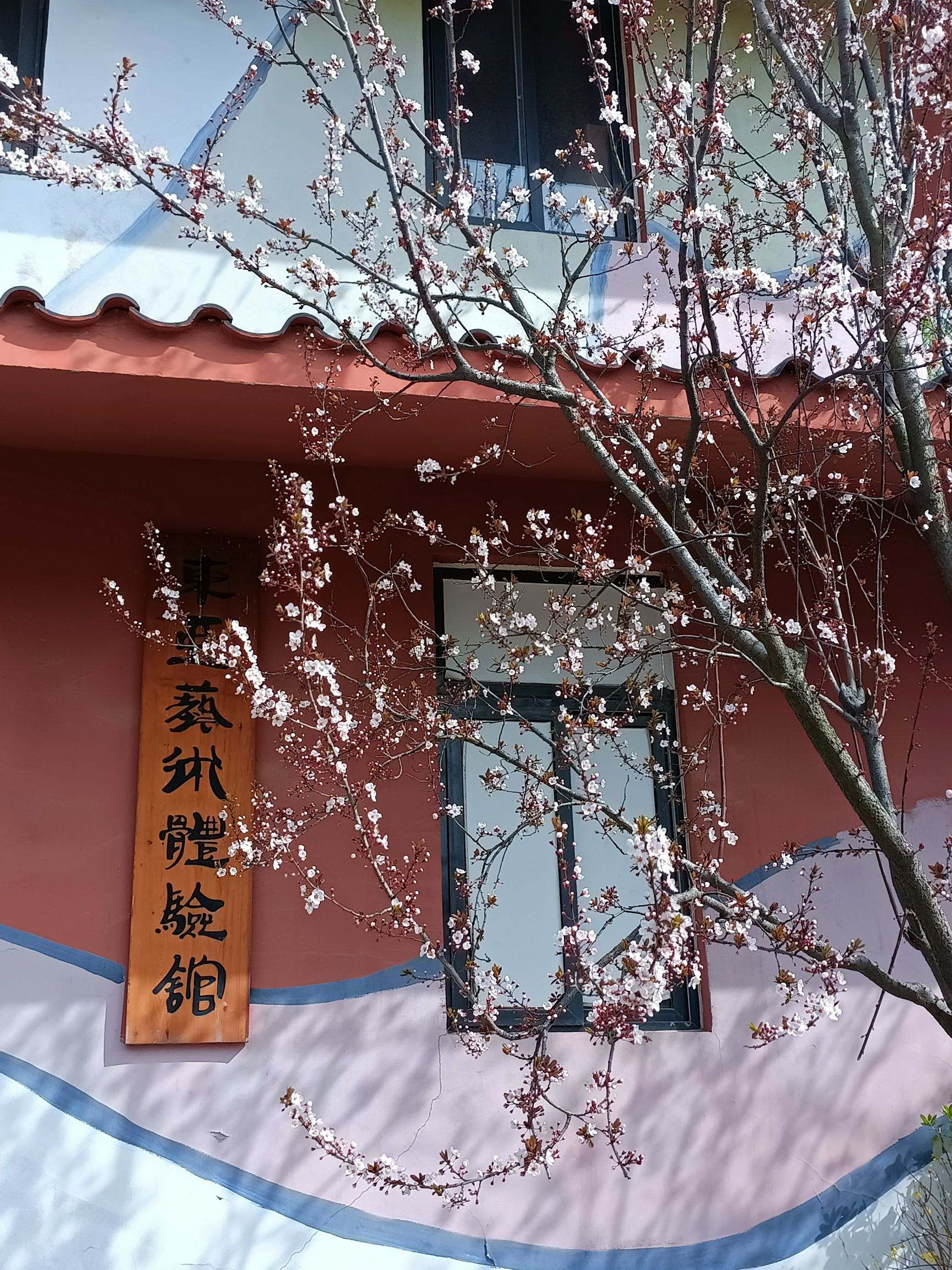 青岛世界园艺博览园旅行图片 2