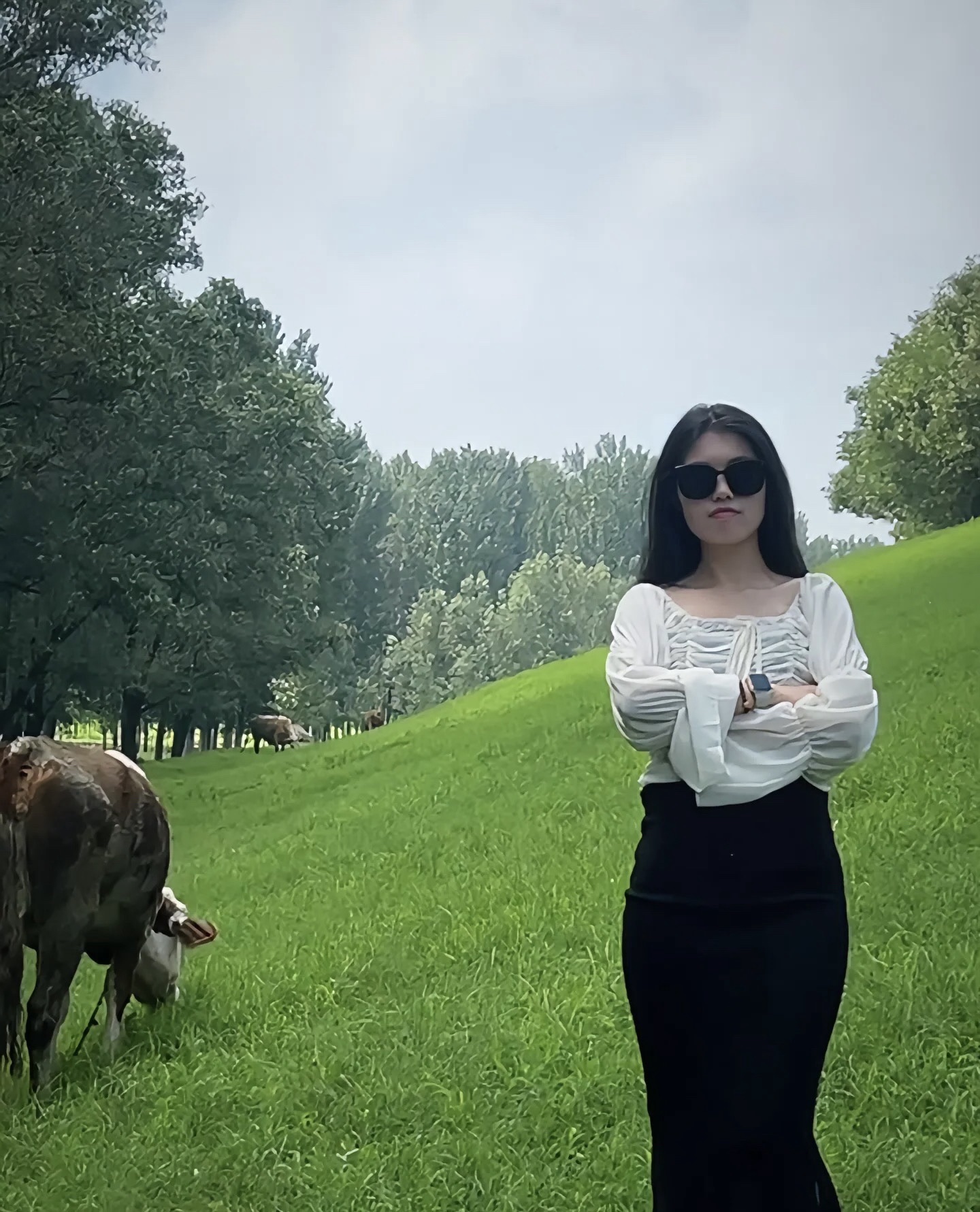 濮阳金堤河国家湿地公园旅行图片 3