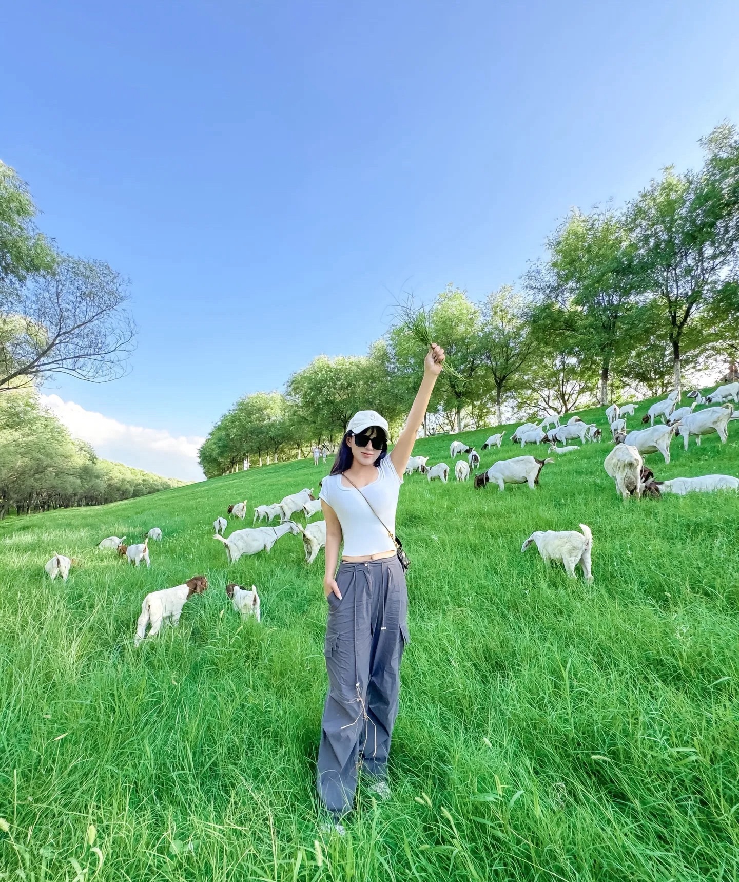 濮阳金堤河国家湿地公园旅行图片 2
