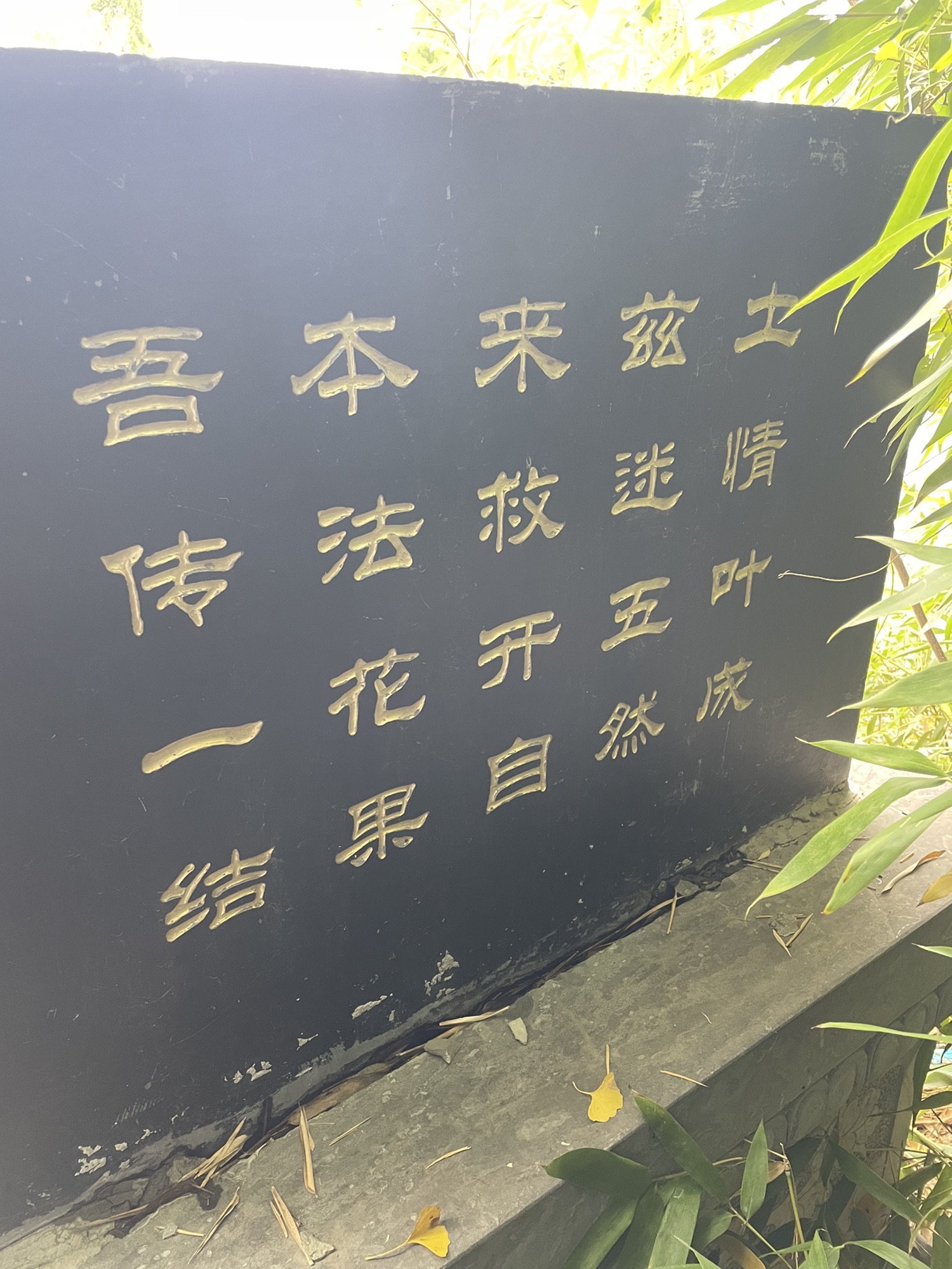 汉唐文化公园旅行图片 1
