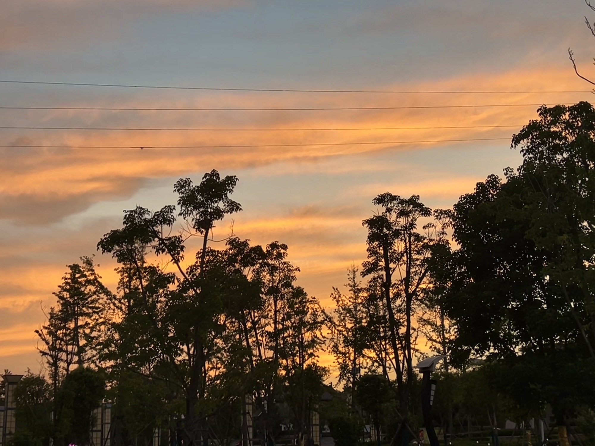 首阳山森林公园旅行图片 1