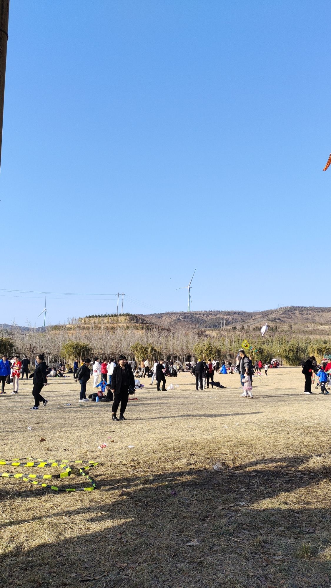首阳山森林公园旅行图片 1