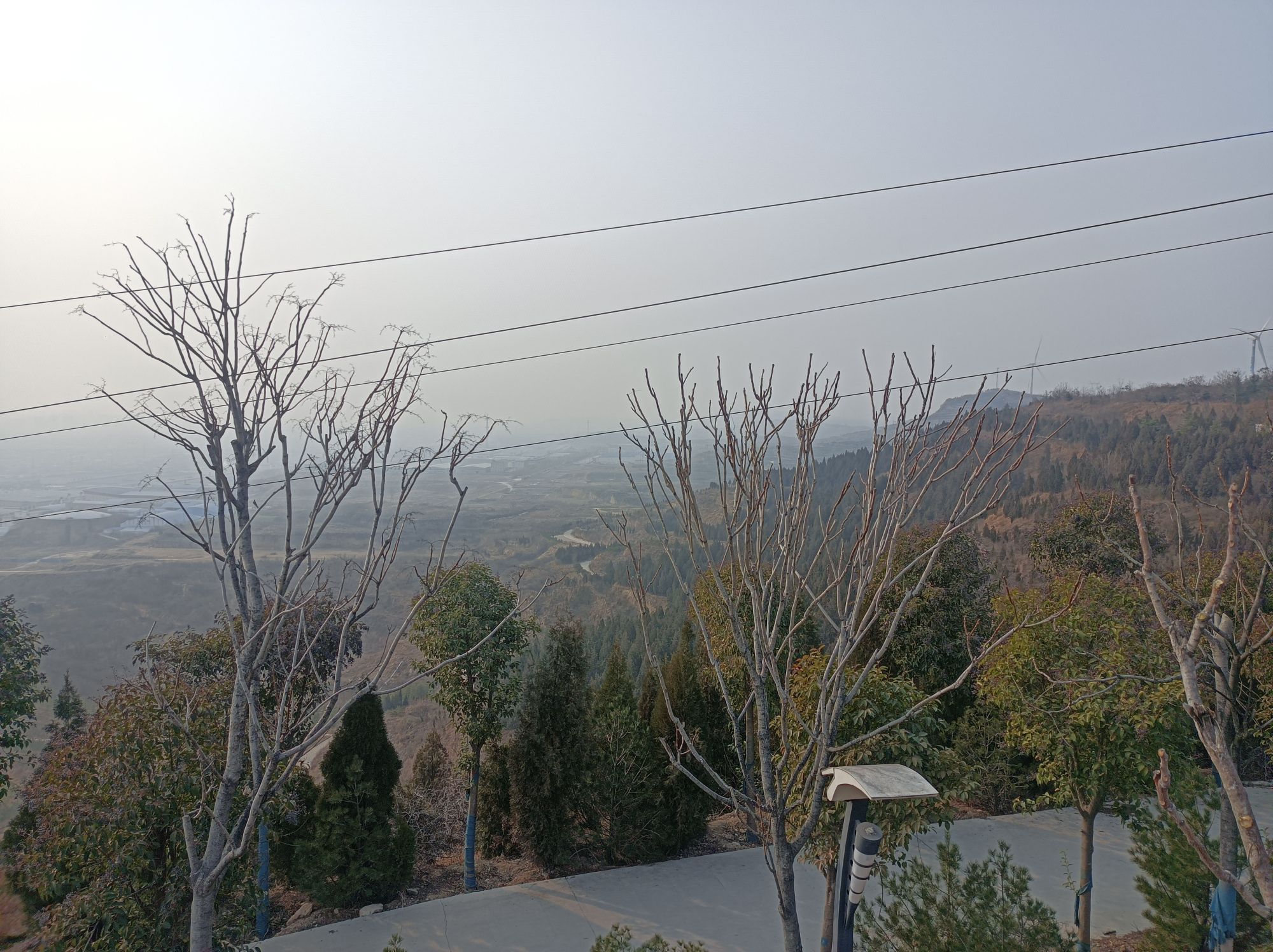 首阳山森林公园旅行图片 3