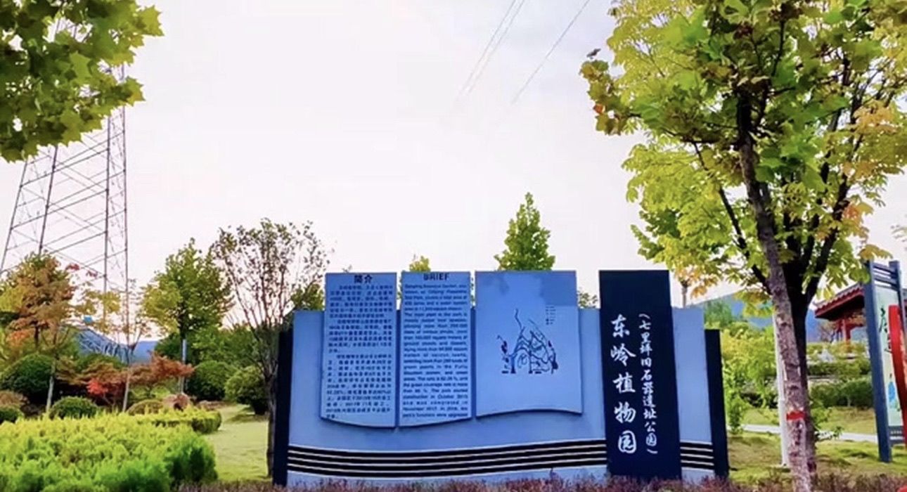 东岭植物园旅行图片 2