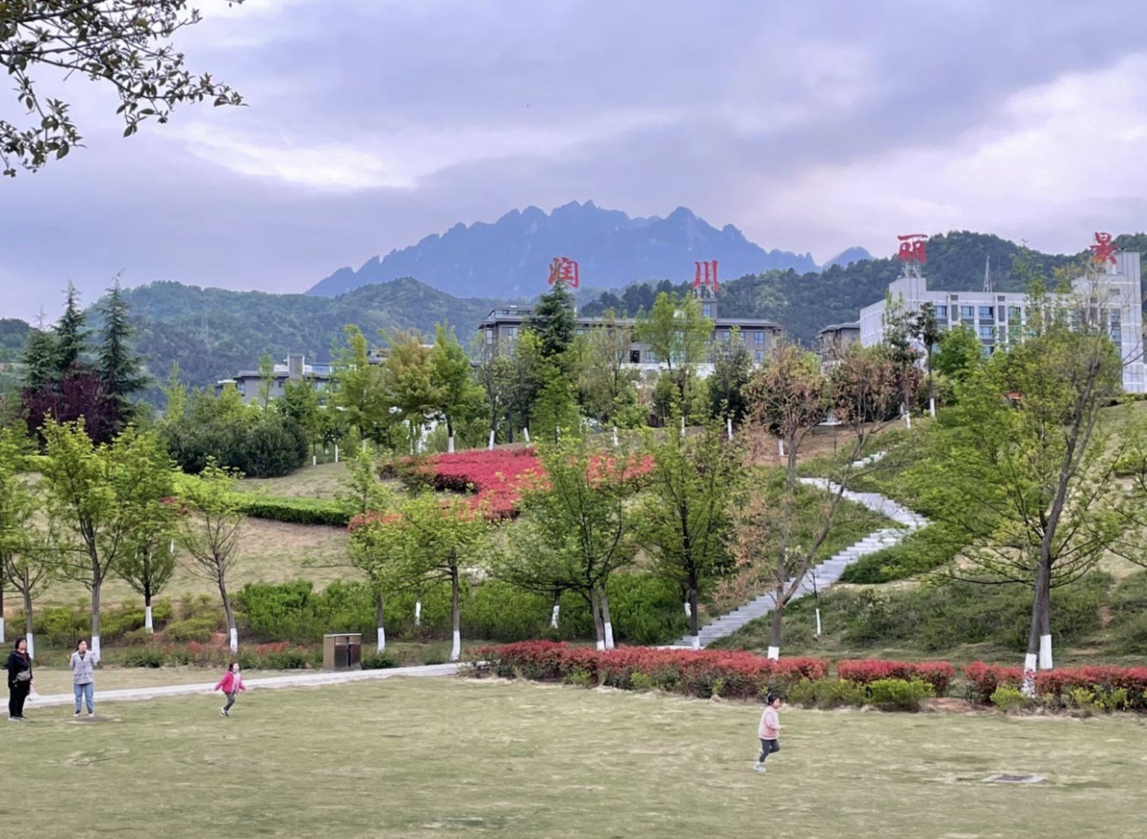 东岭植物园旅行图片 3