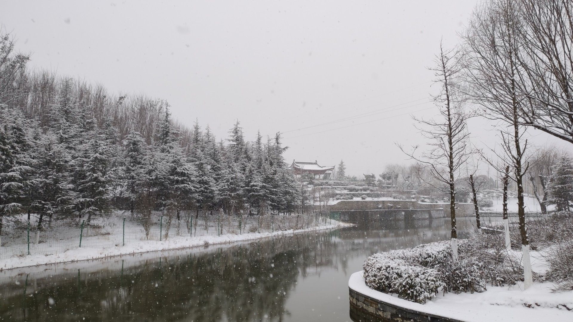 东岭植物园旅行图片