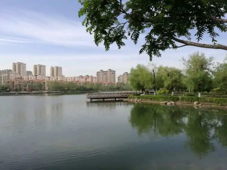 澄州湖公园旅行图片 2
