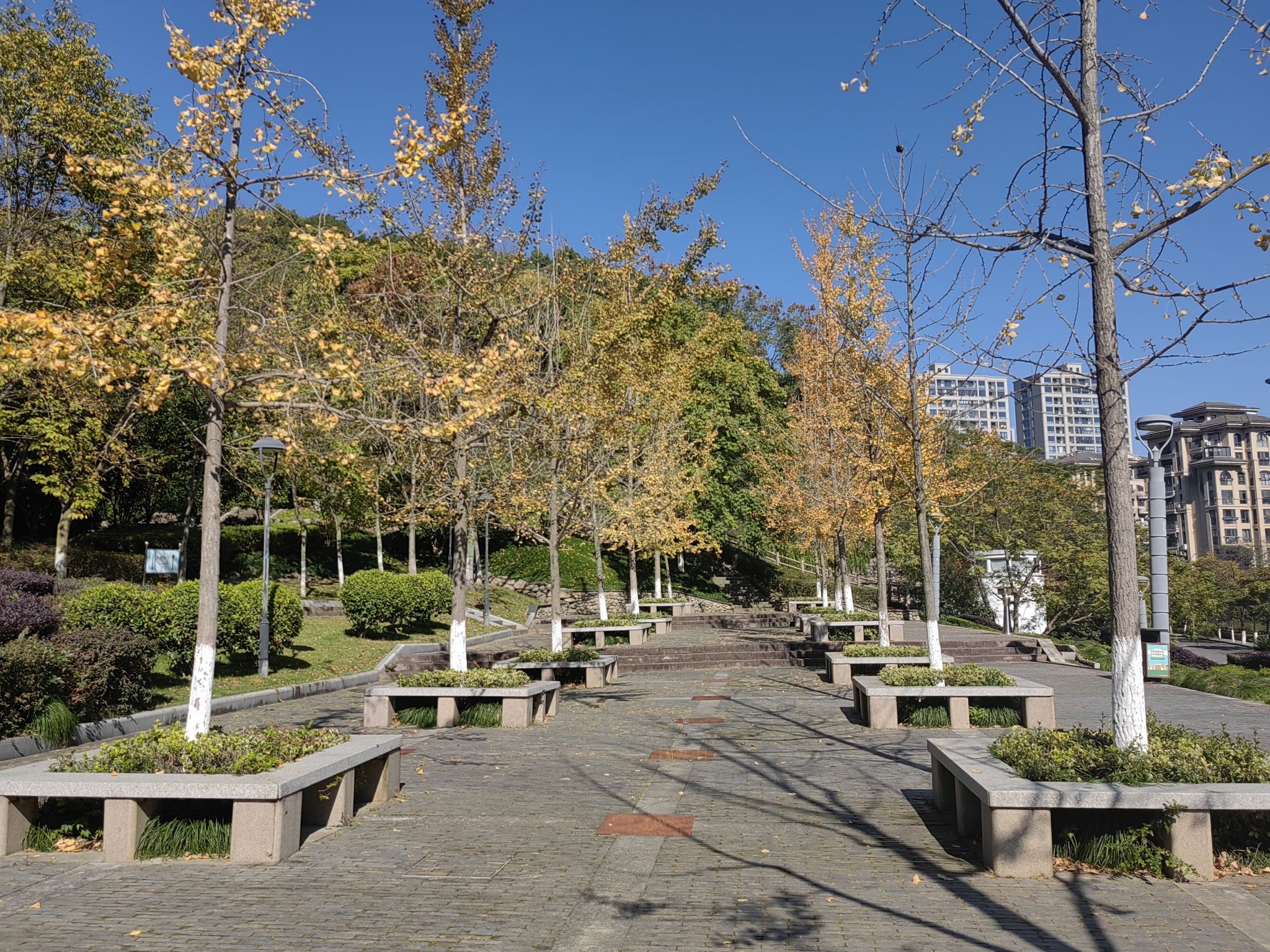徐霞客公园旅行图片 2