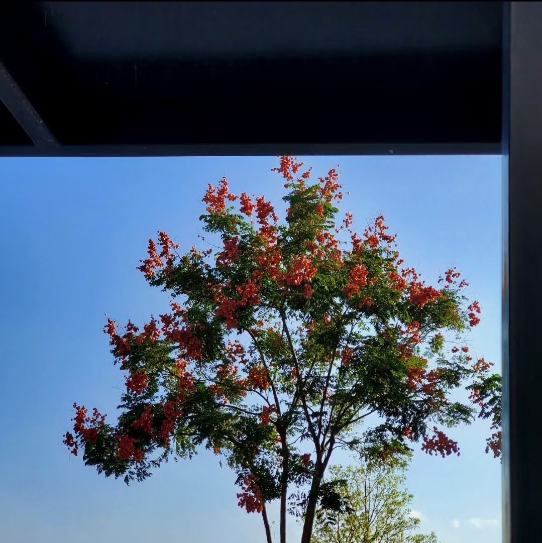 徐霞客公园旅行图片 3