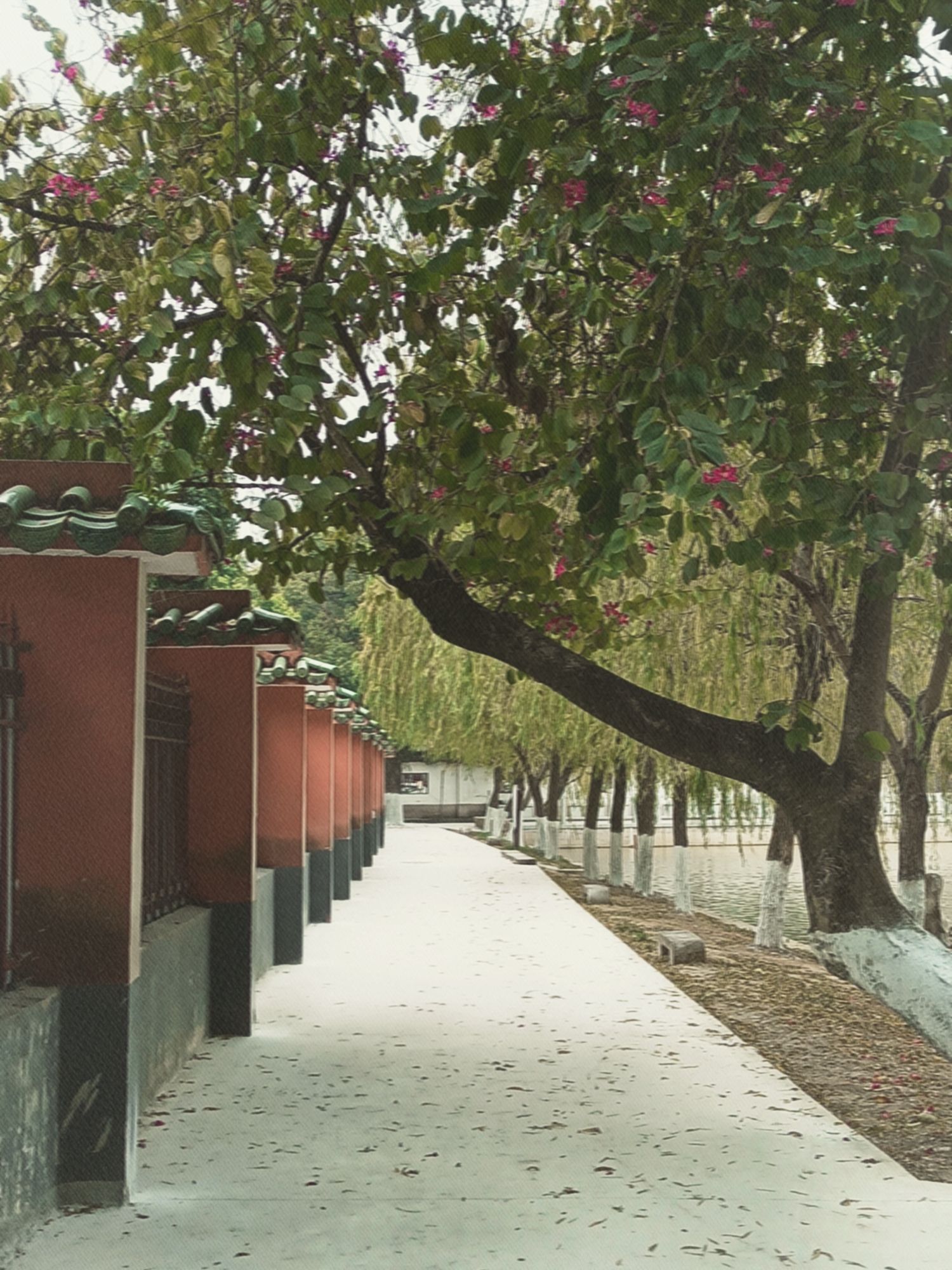 西山公园旅行图片 2