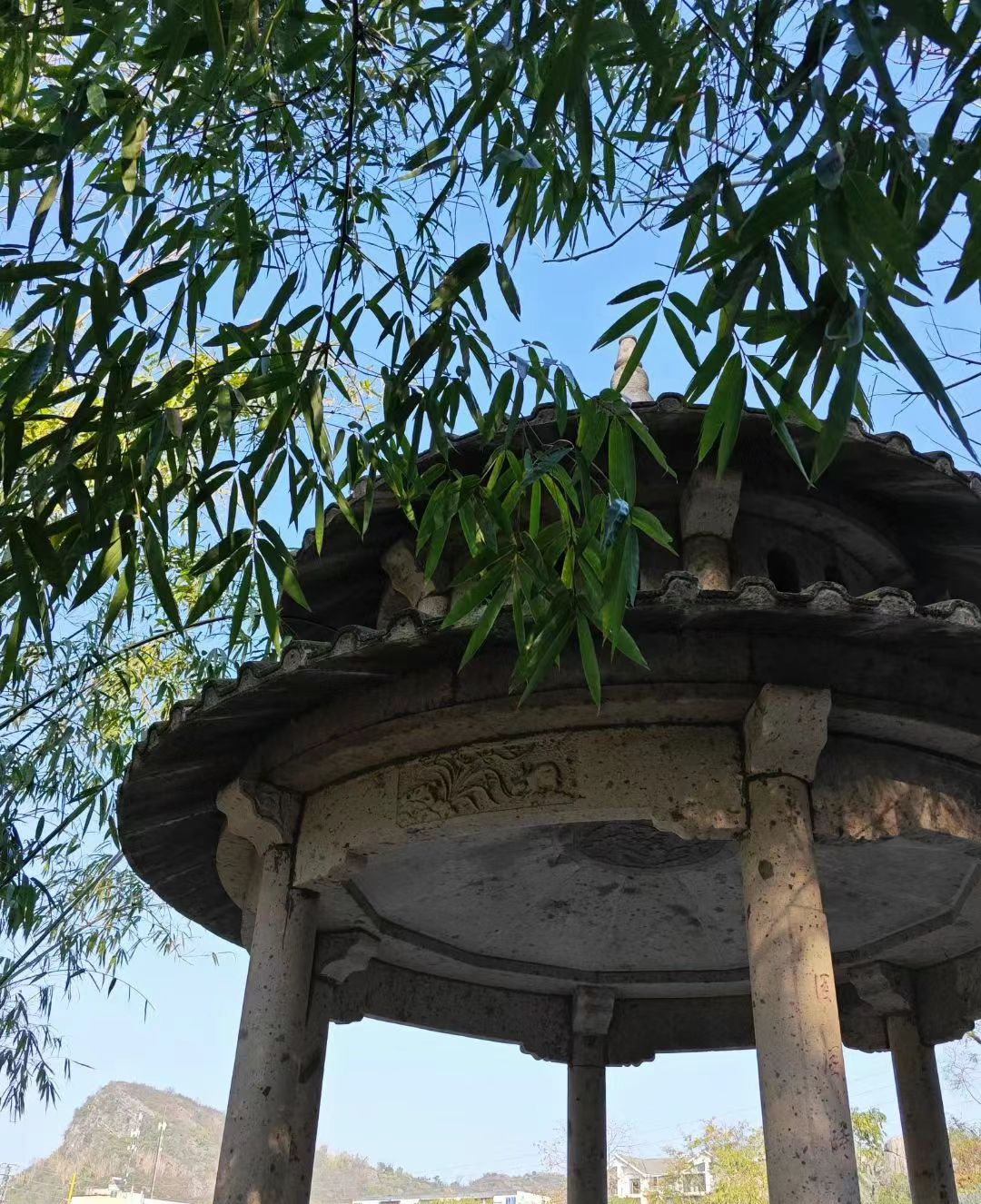 西山公园旅行图片 1