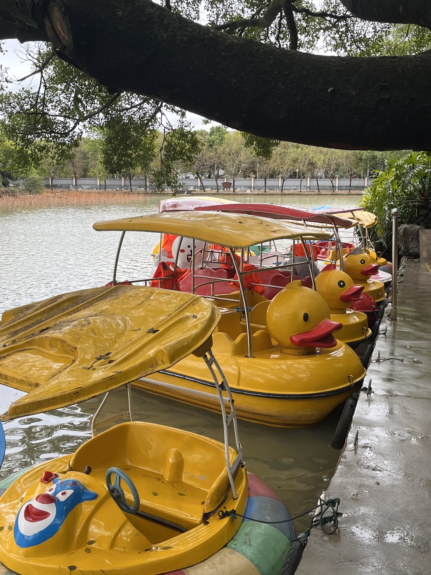 西山公园旅行图片 1