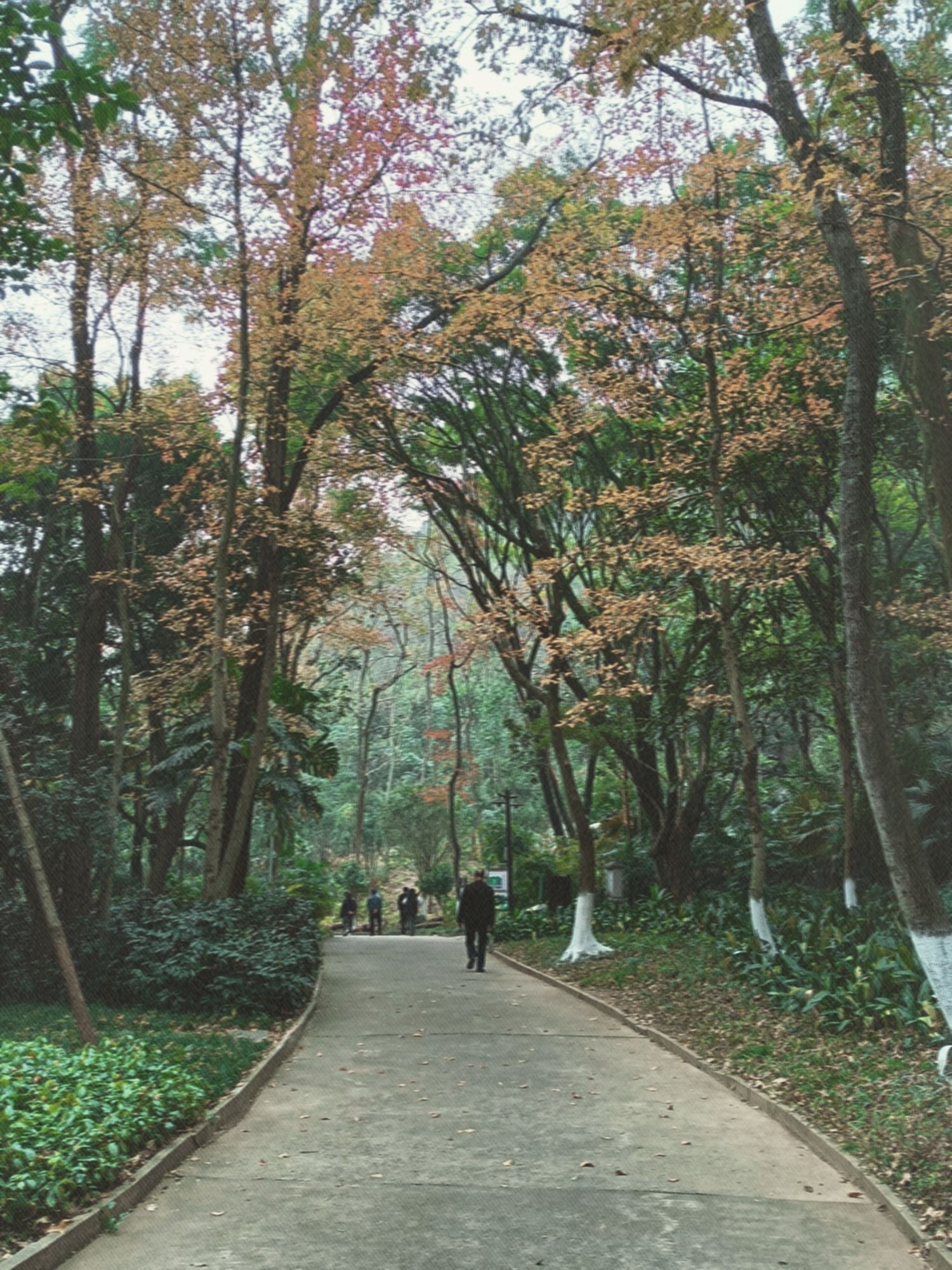 西山公园旅行图片 1