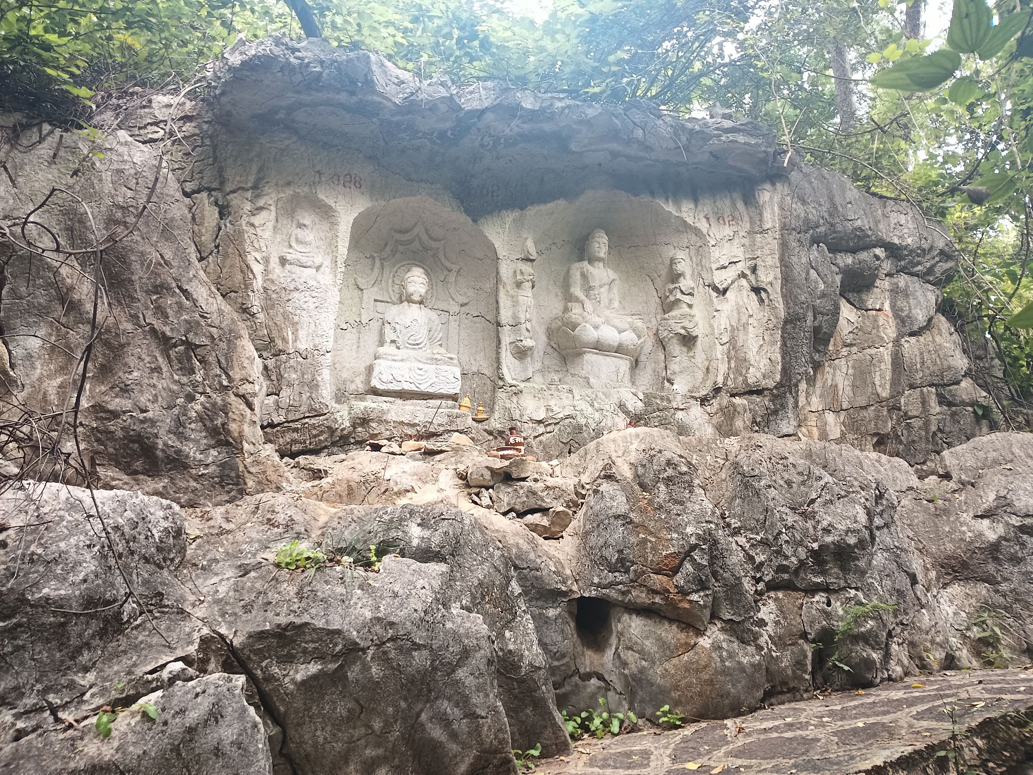 西山公园旅行图片 2