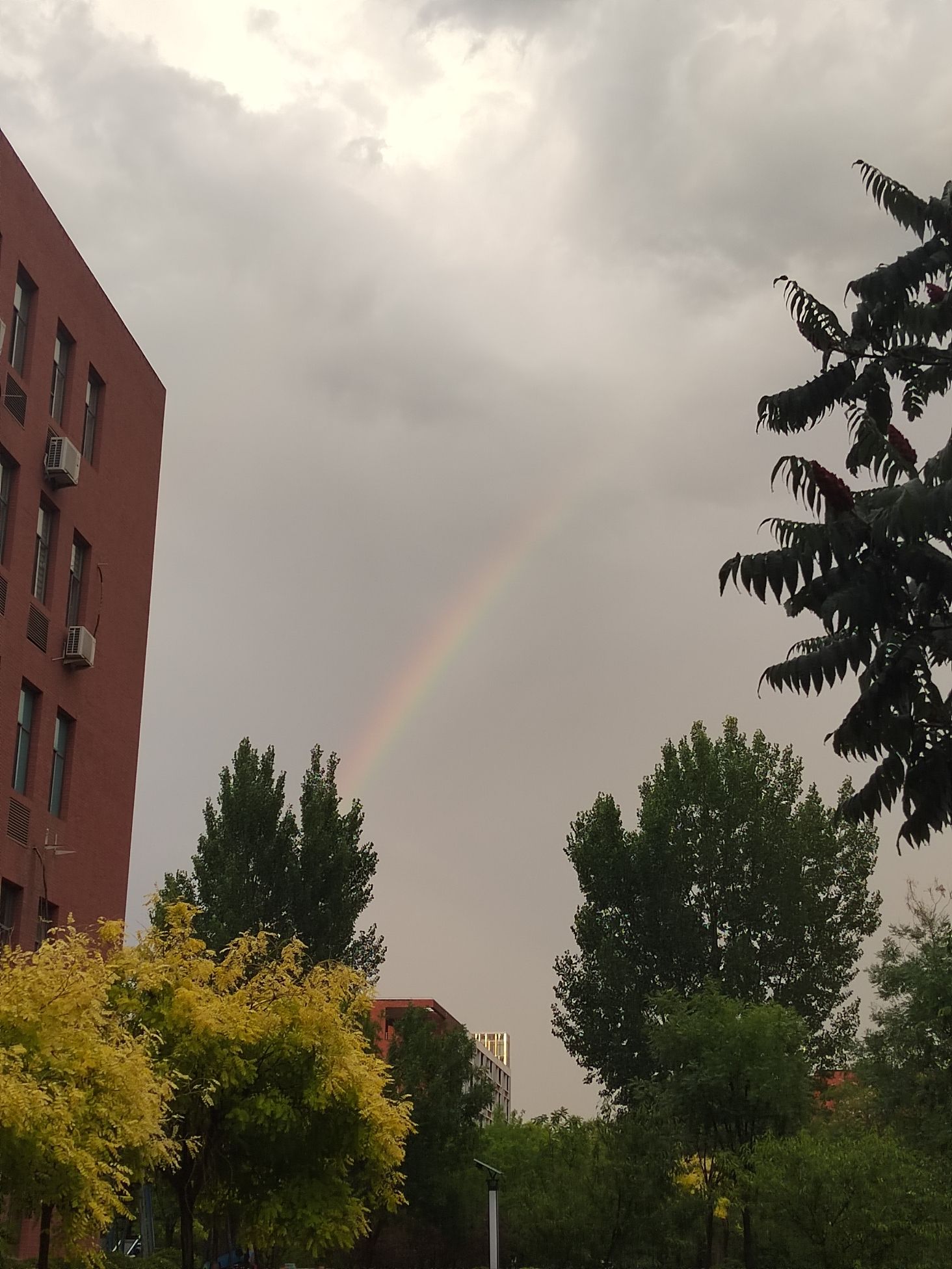 天津理工大学管理学院