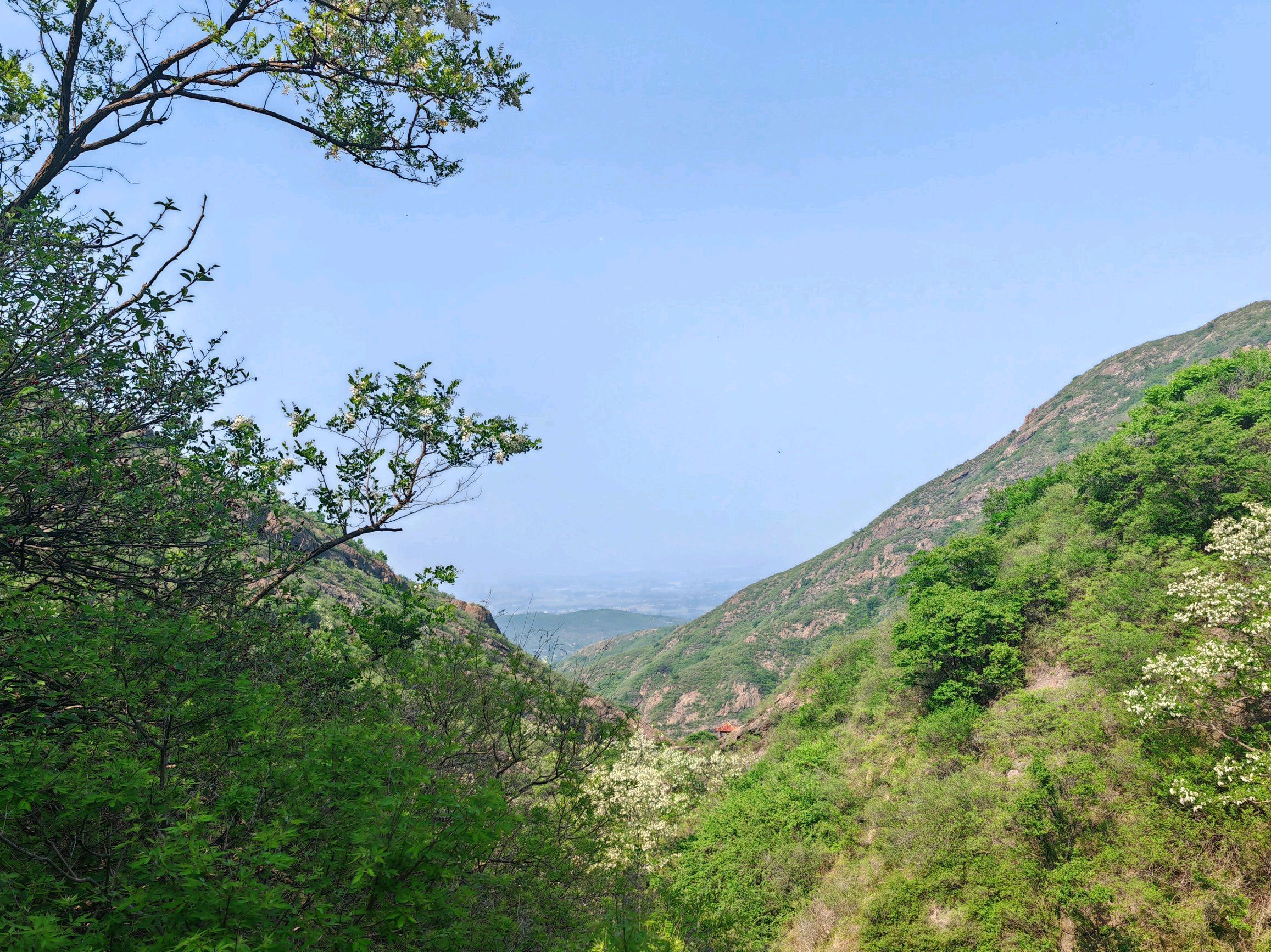 鹤伴山国家森林公园旅行图片 2
