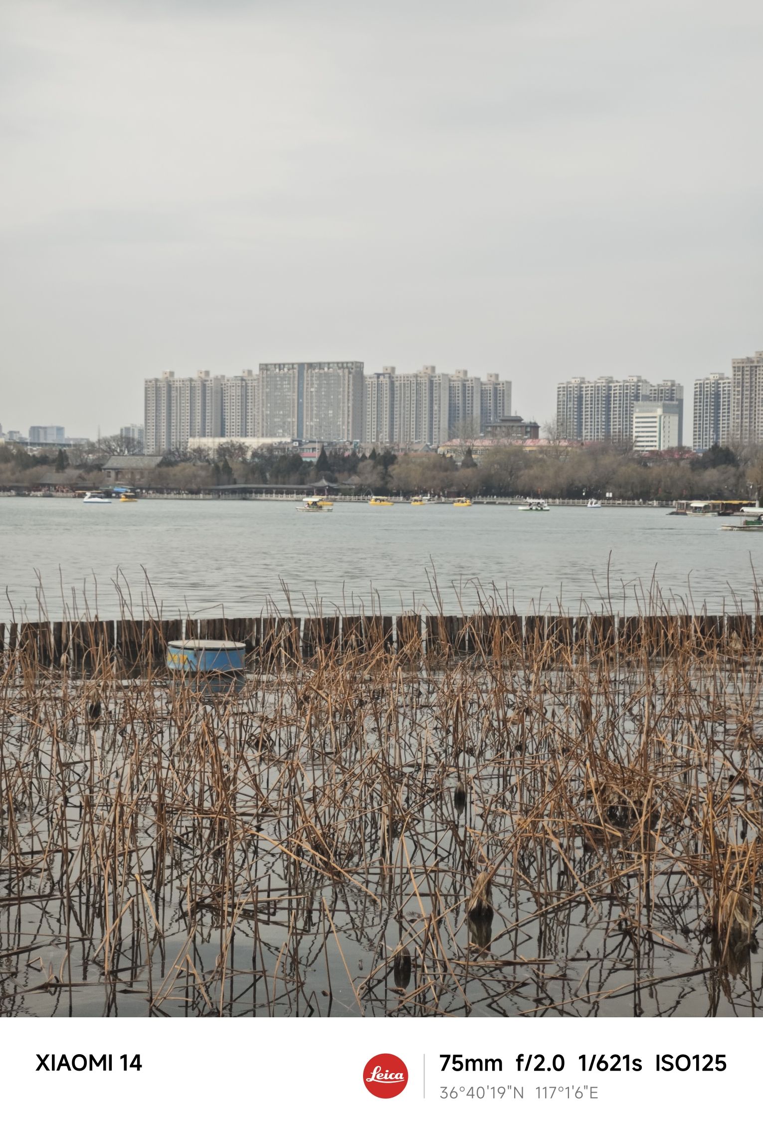 母亲河公园旅行图片 3