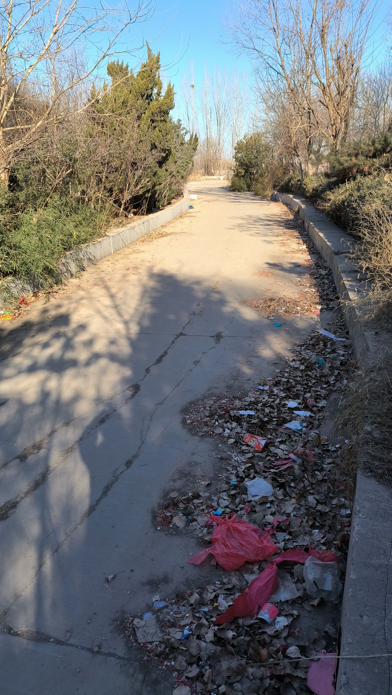 母亲河公园旅行图片 3