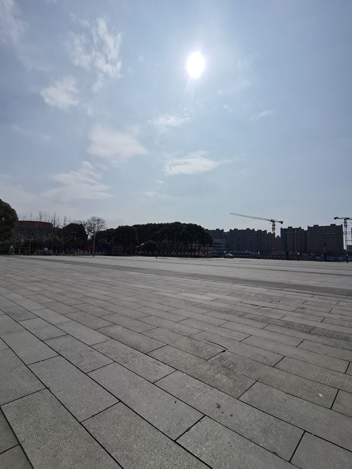 市民广场旅行图片 3