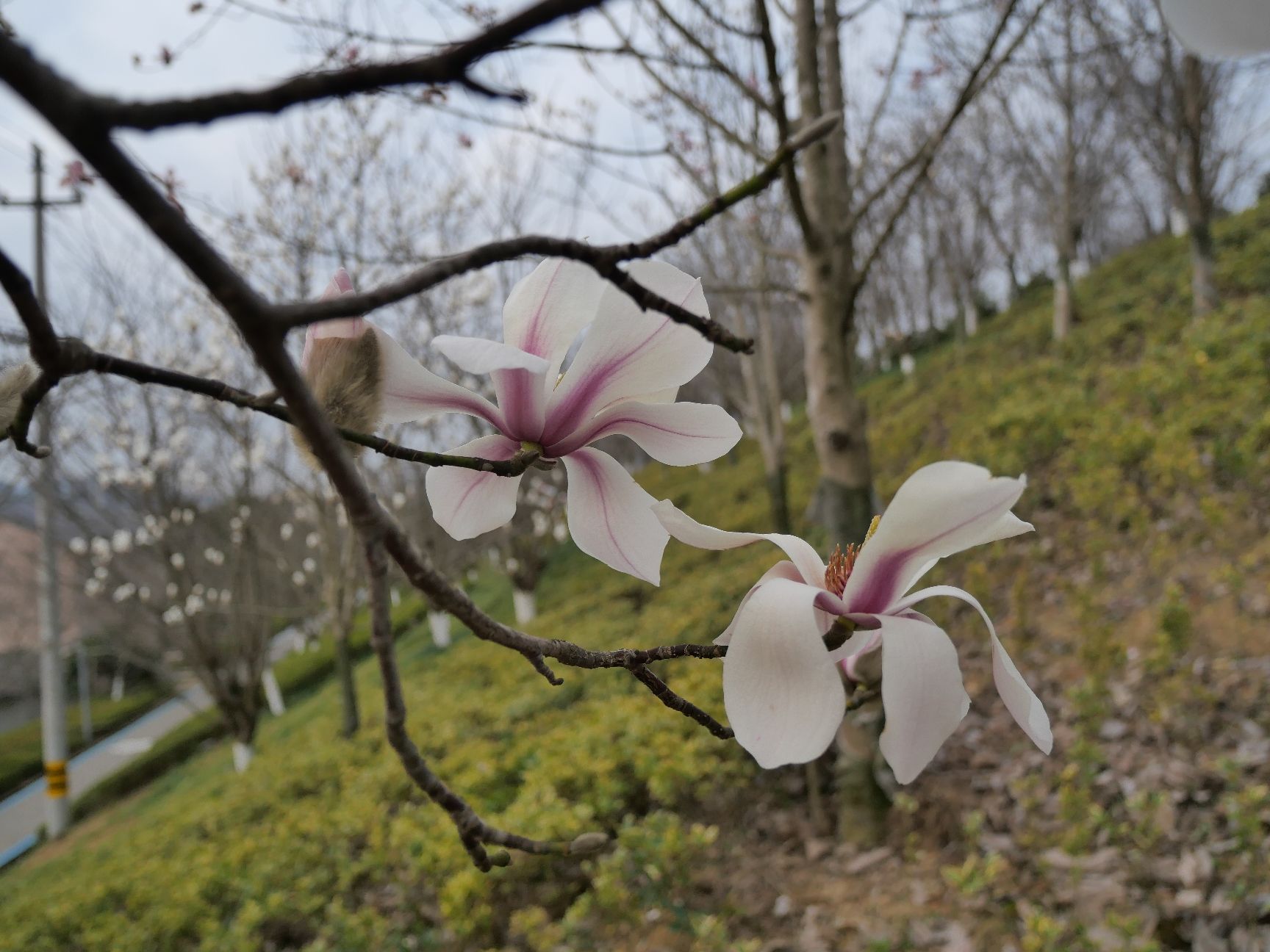 宁海县眠牛山公园旅行图片 3