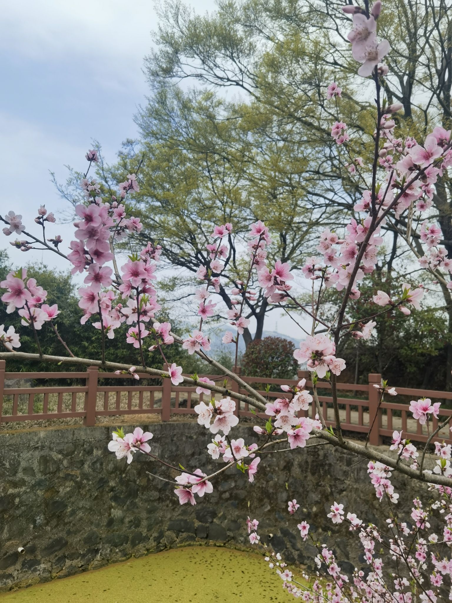 宁海县眠牛山公园旅行图片 3
