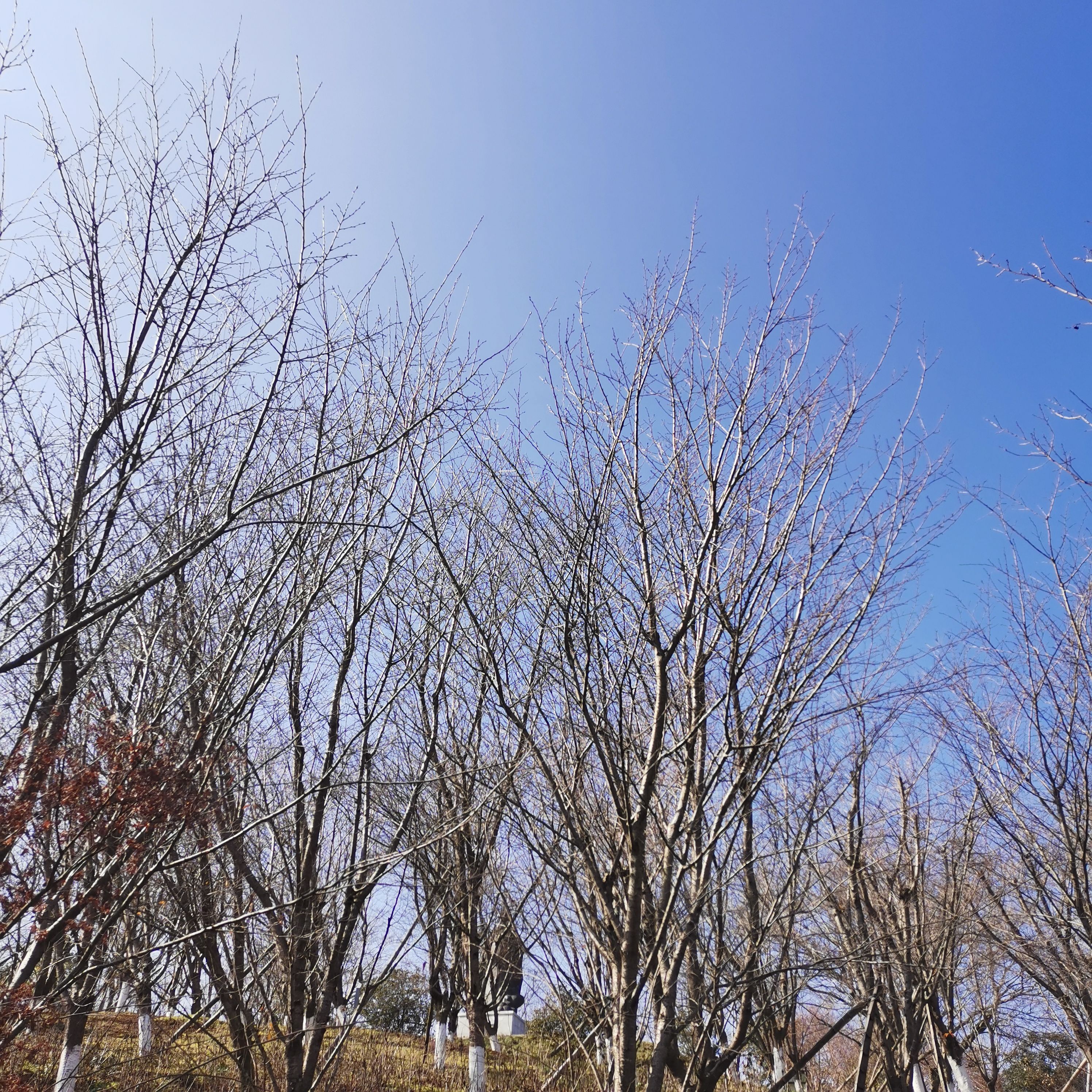宁海县眠牛山公园旅行图片 1