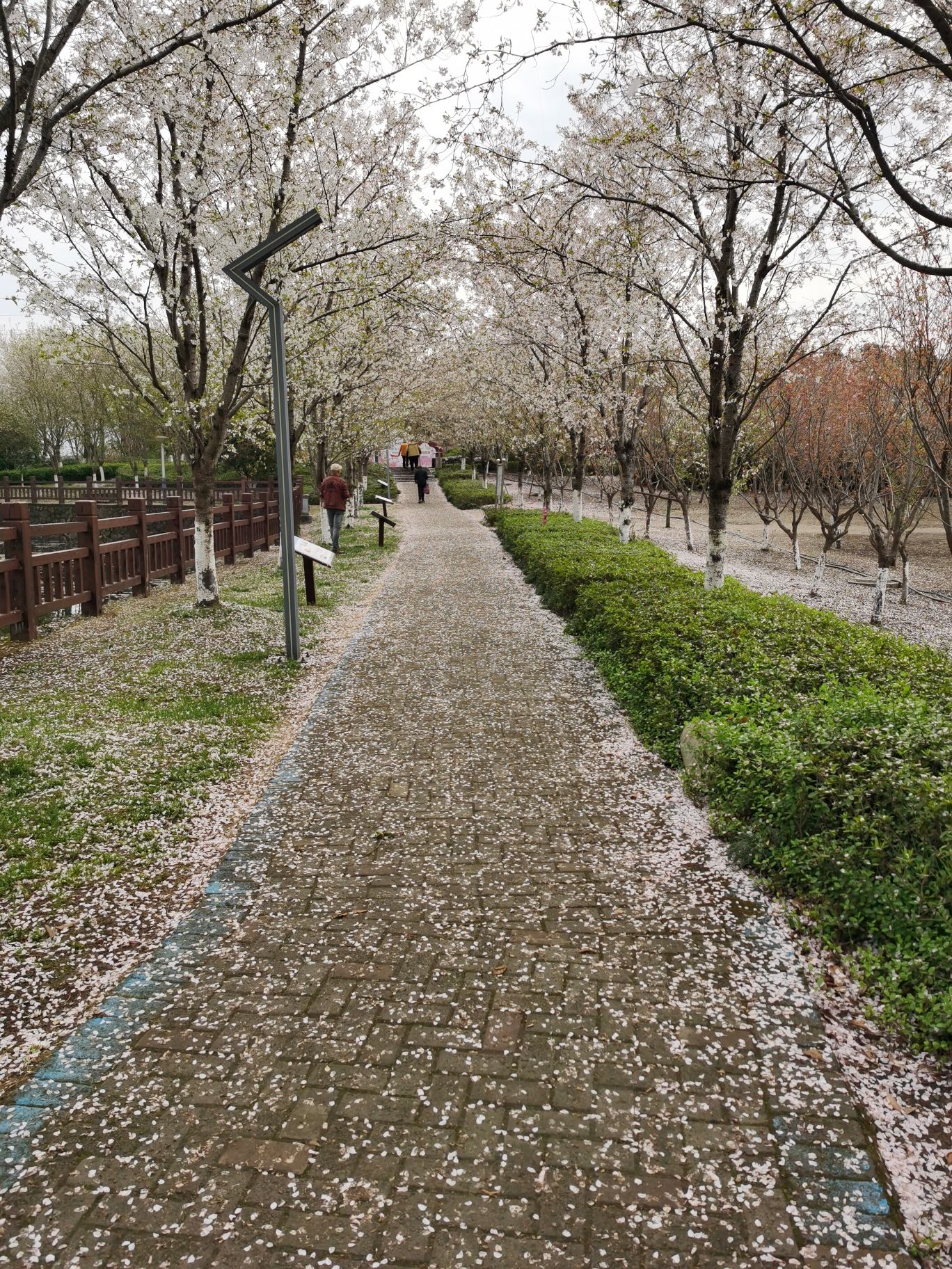 宁海县眠牛山公园旅行图片 3