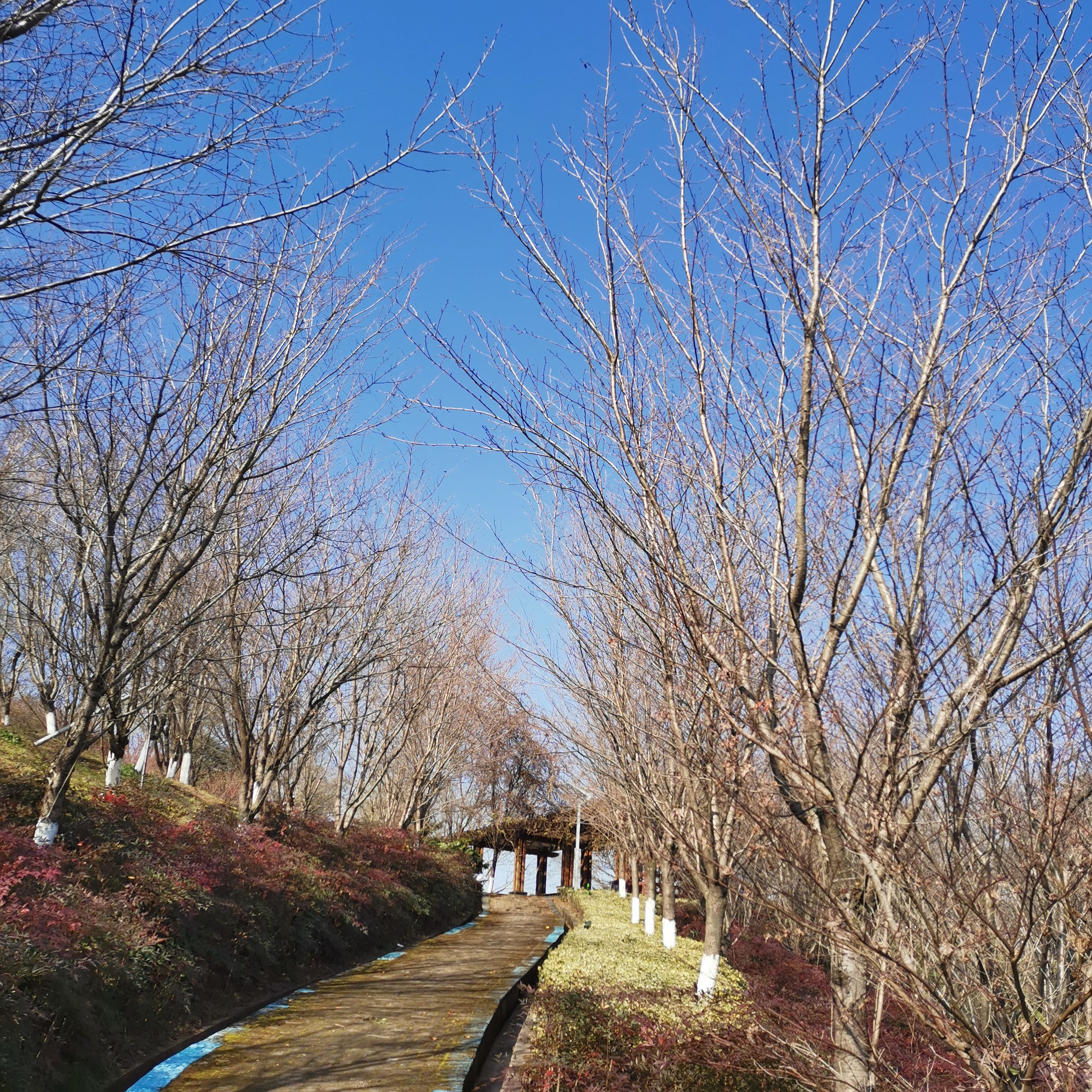 宁海县眠牛山公园旅行图片 2