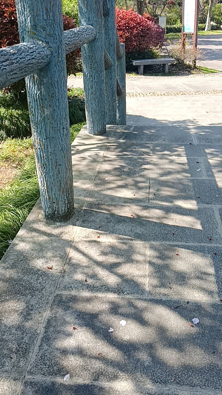 华山公园旅行图片 1