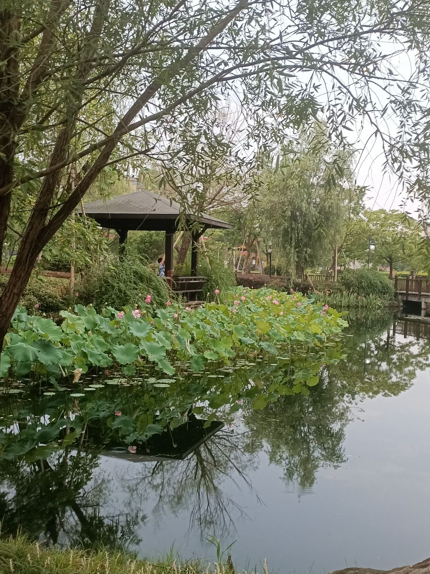 殷夫公园旅行图片 1