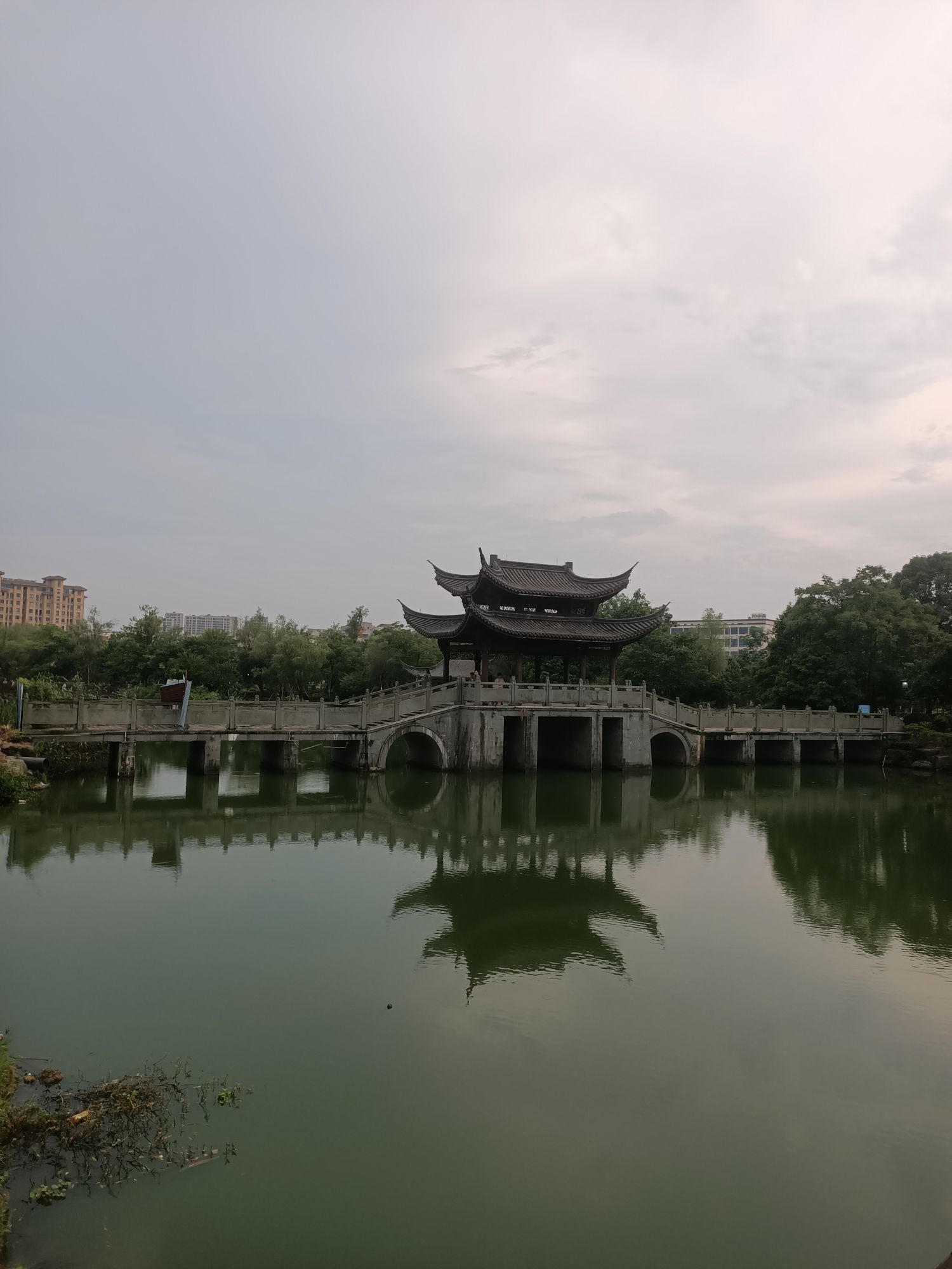 殷夫公园旅行图片 3