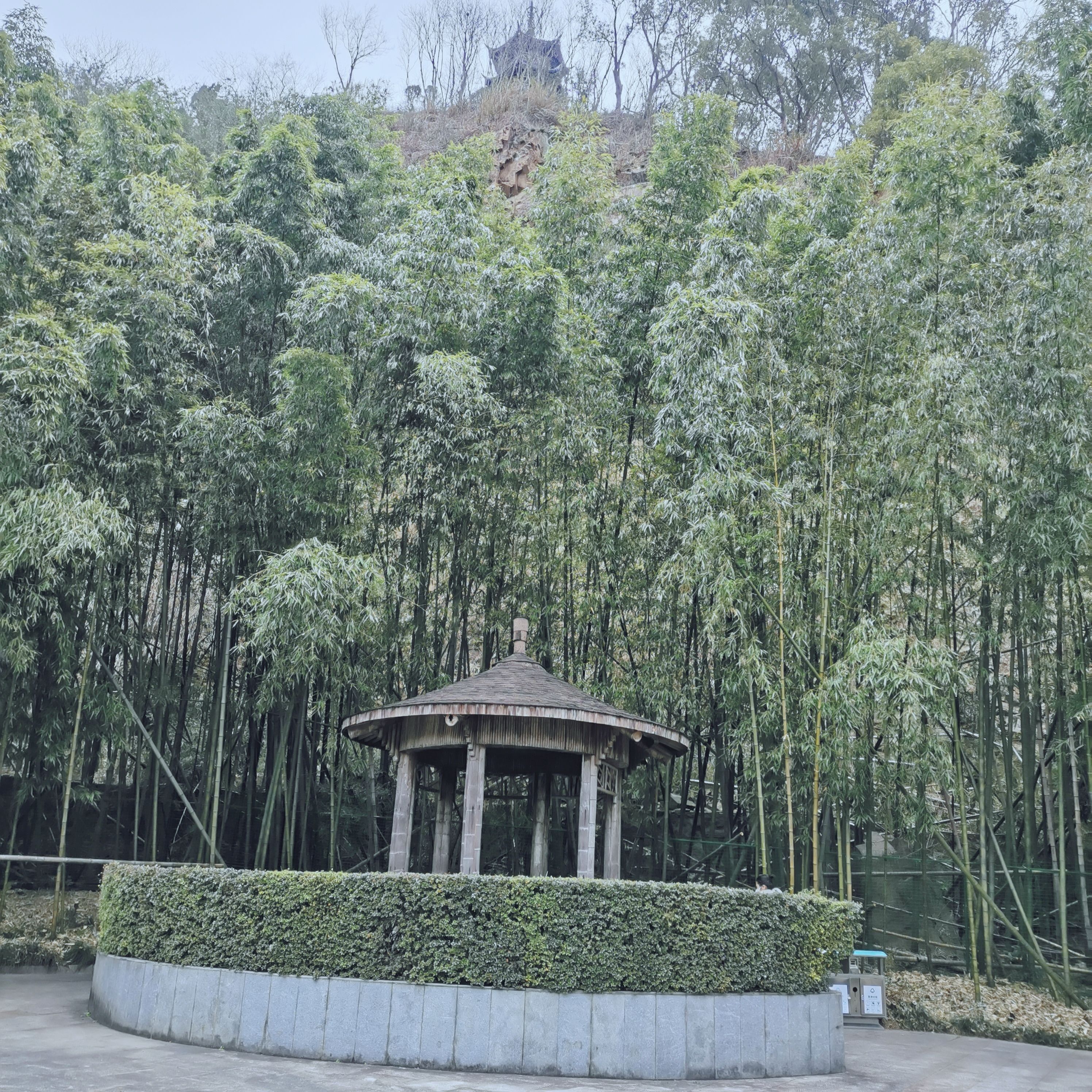 东谷湖健康主题公园旅行图片 1