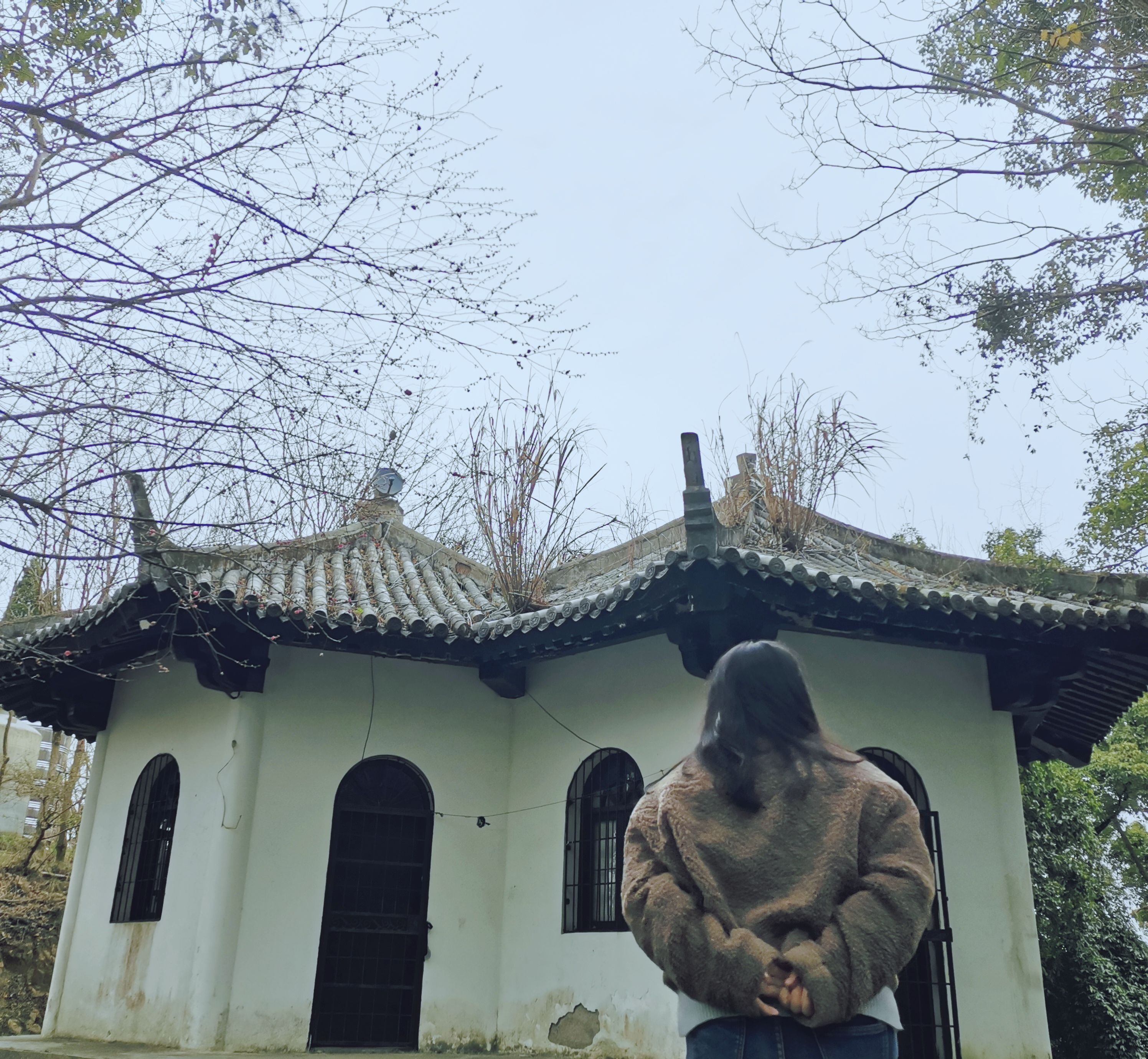 东谷湖健康主题公园旅行图片 3