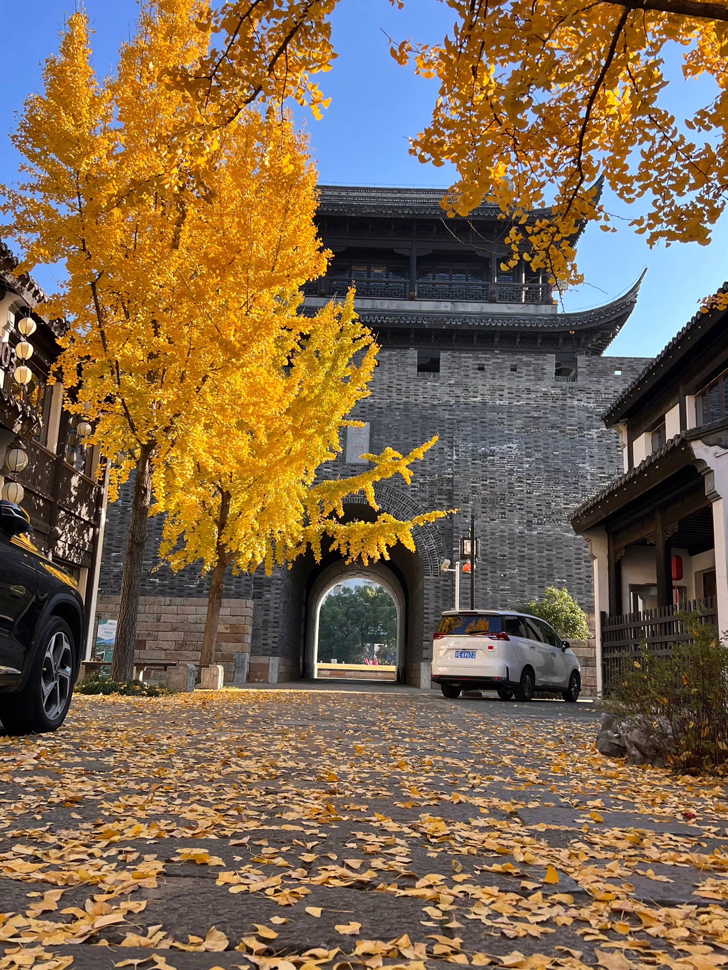 娄门旅行图片 1