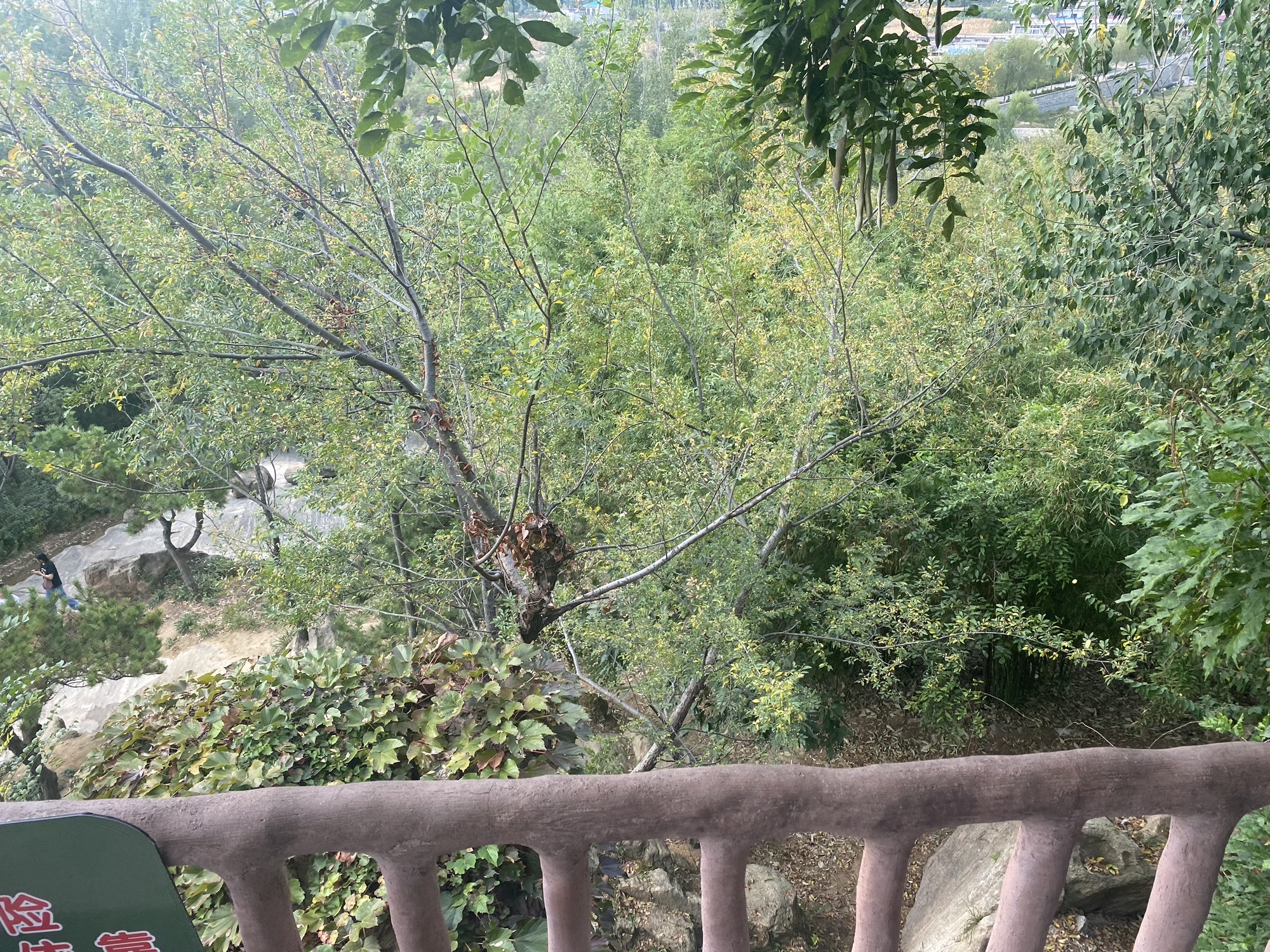 沂蒙云瀑洞天旅行图片 1