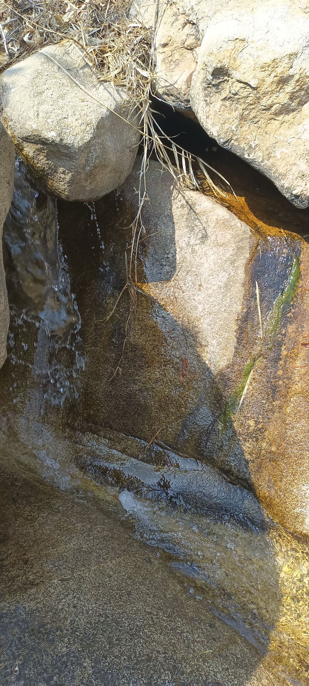 烟台昆嵛山国家森林公园旅行图片 3
