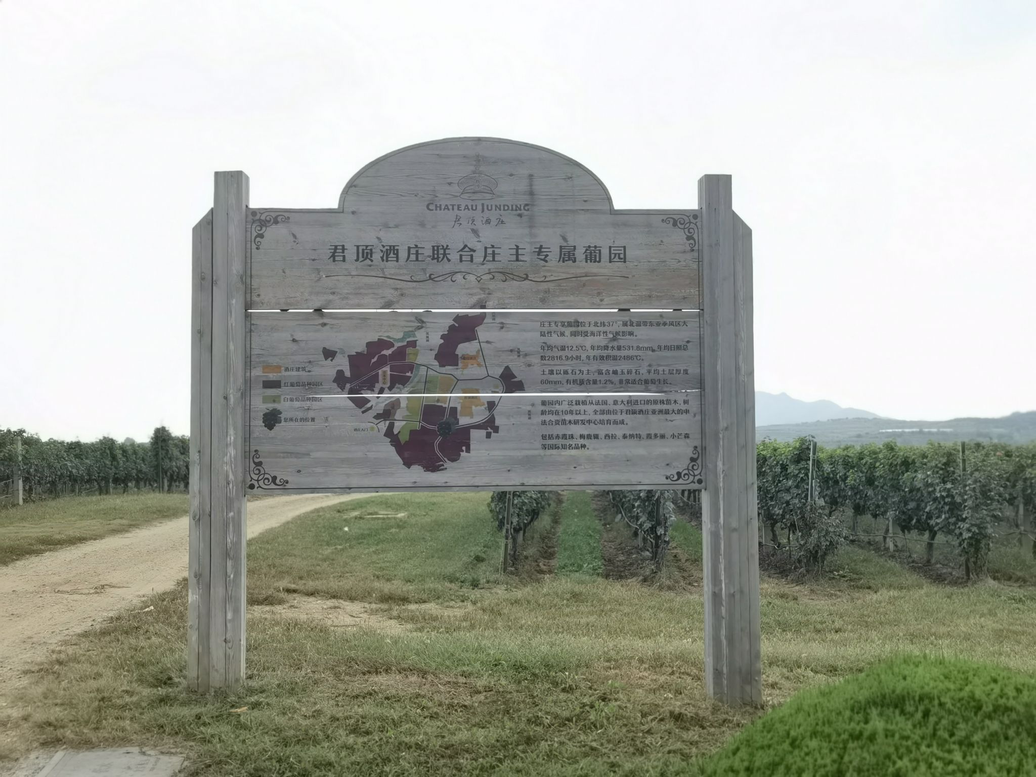 君顶酒庄旅行图片 3