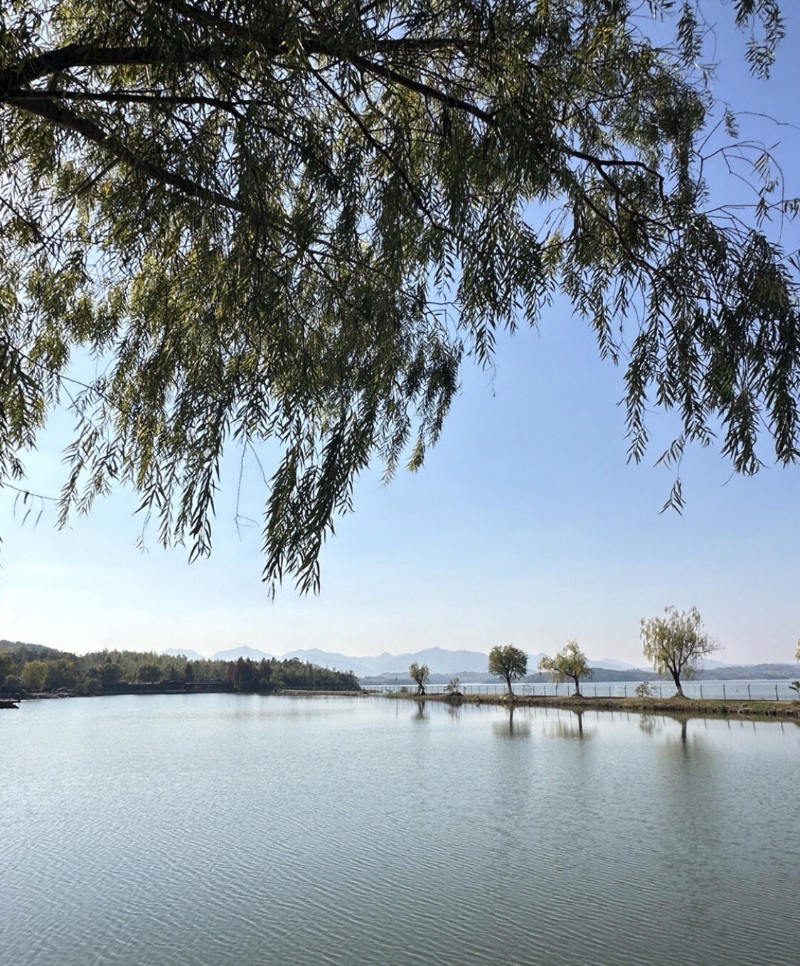 云湖风景区旅行图片 3