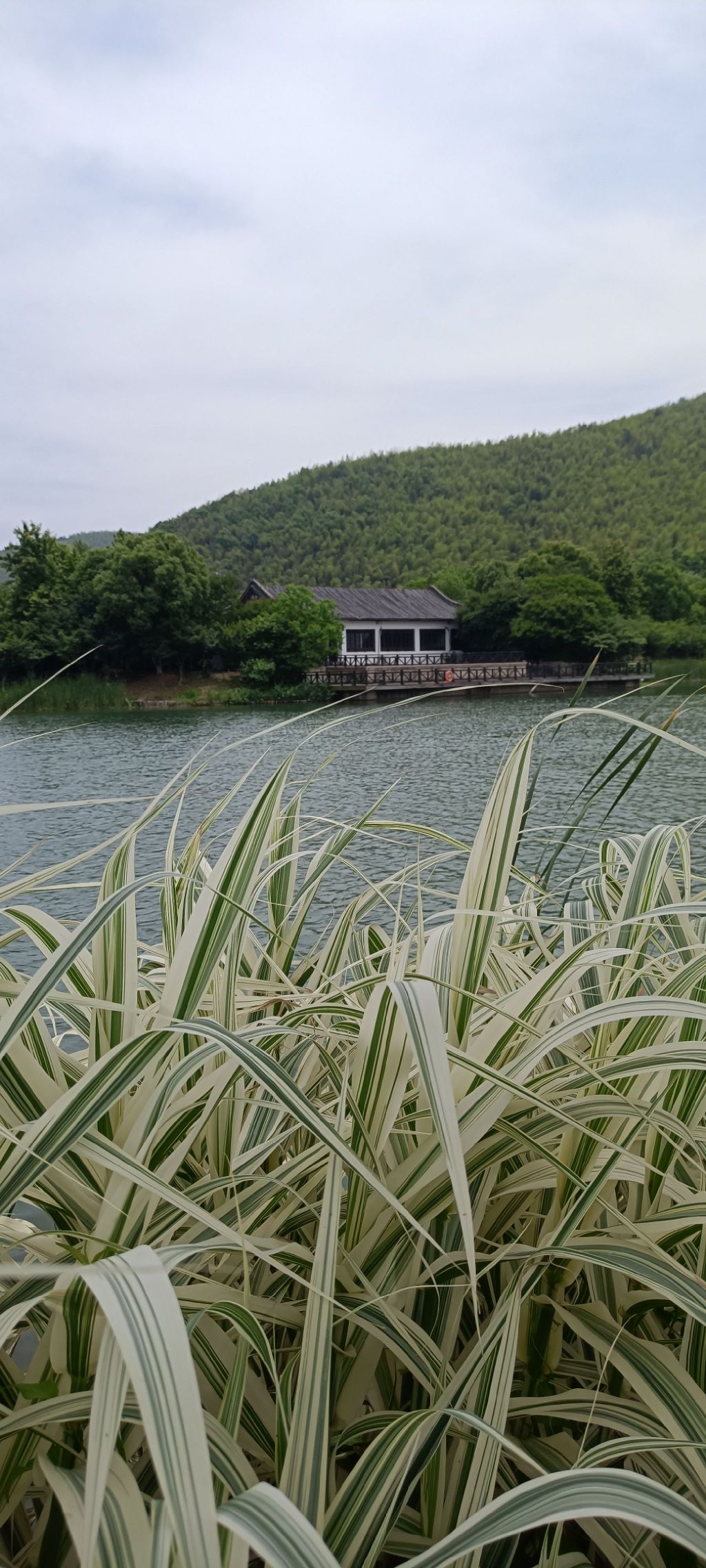 云湖风景区旅行图片 2