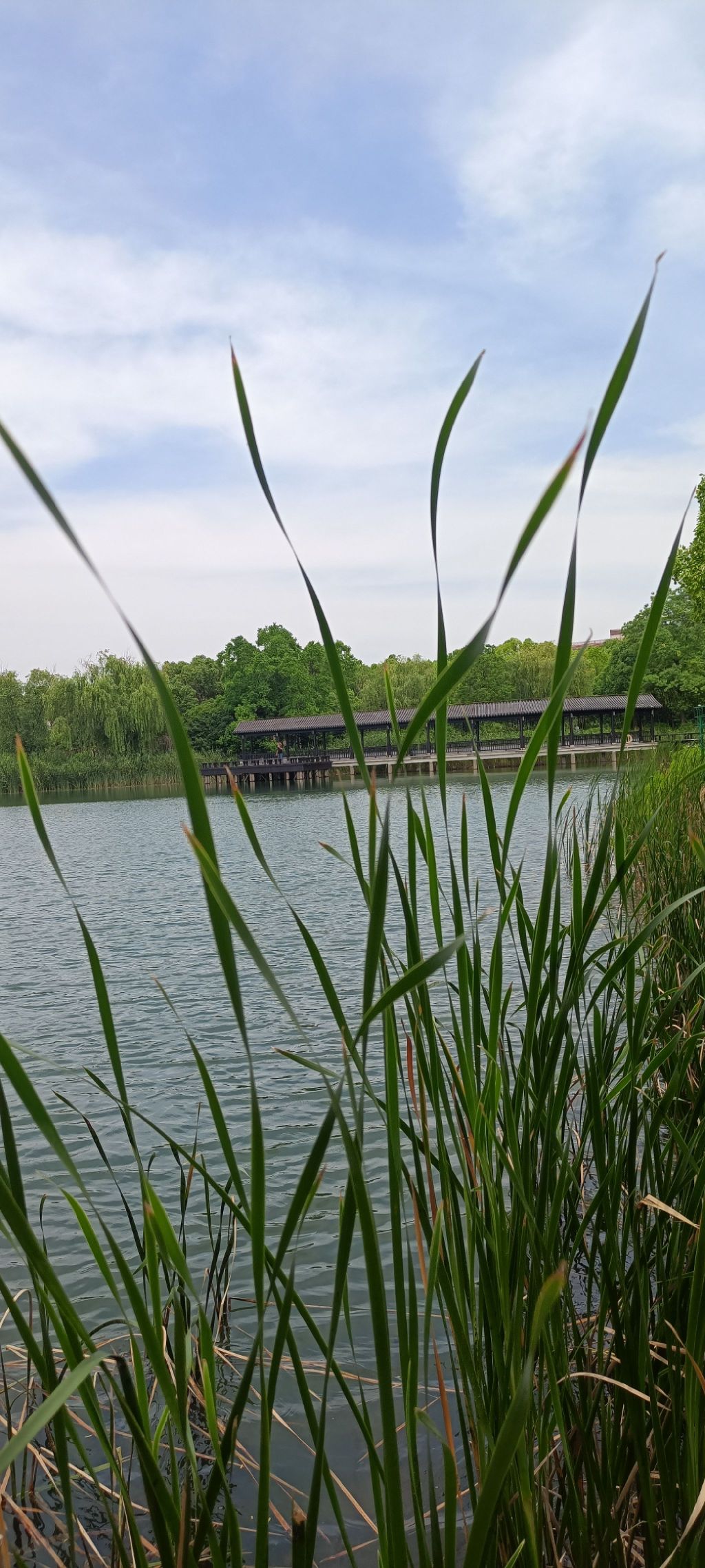 云湖风景区旅行图片 3