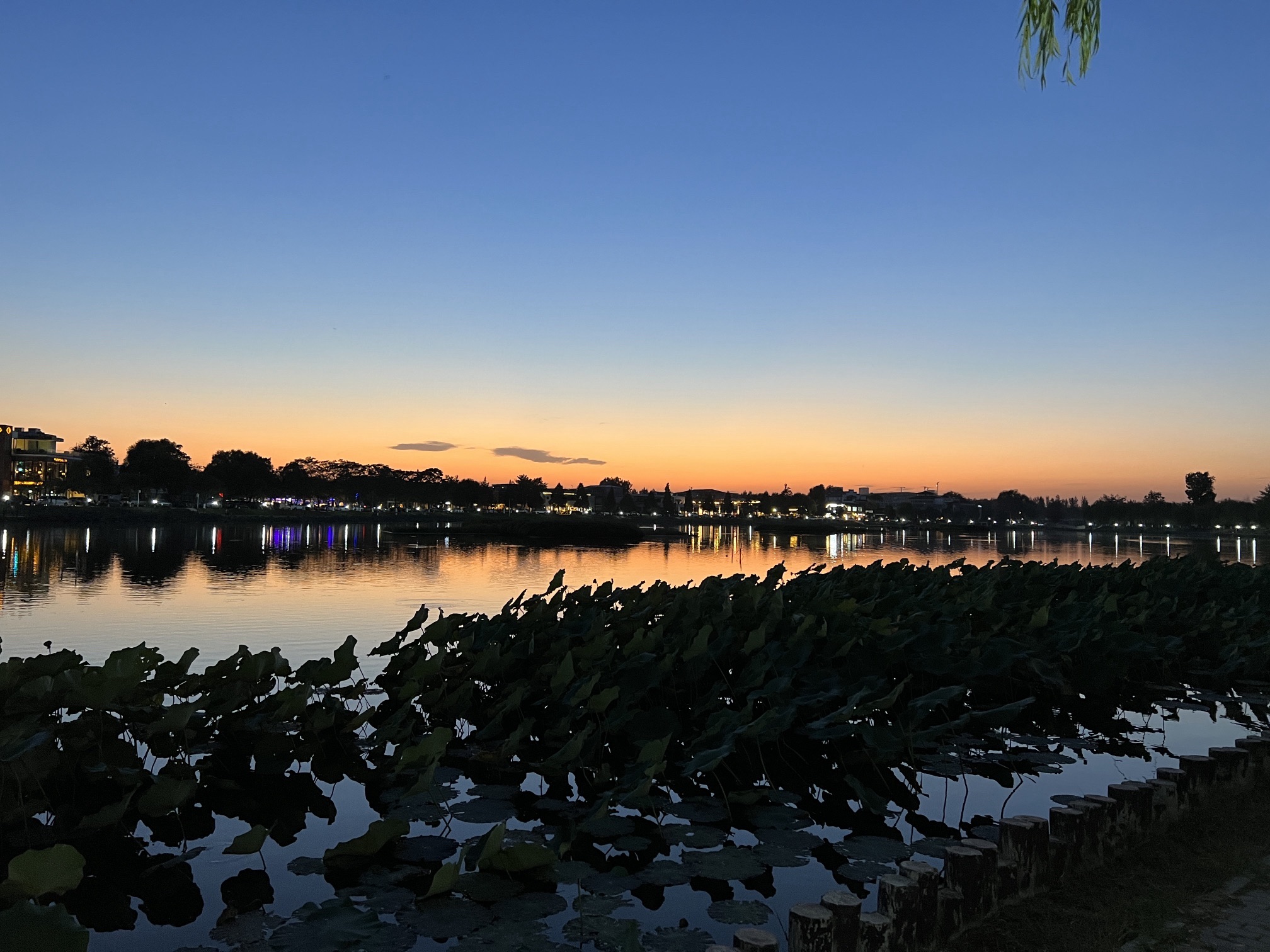 罗马湖公园旅行图片 1