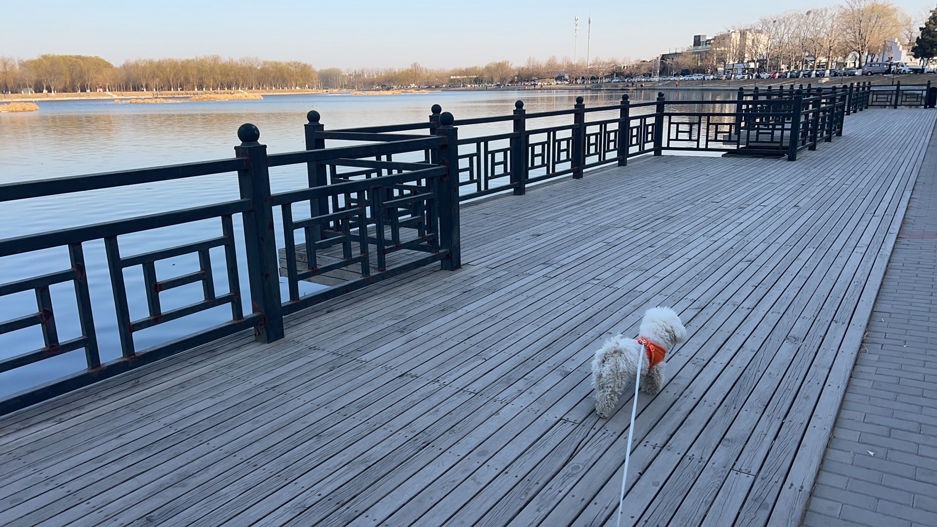罗马湖公园旅行图片 3