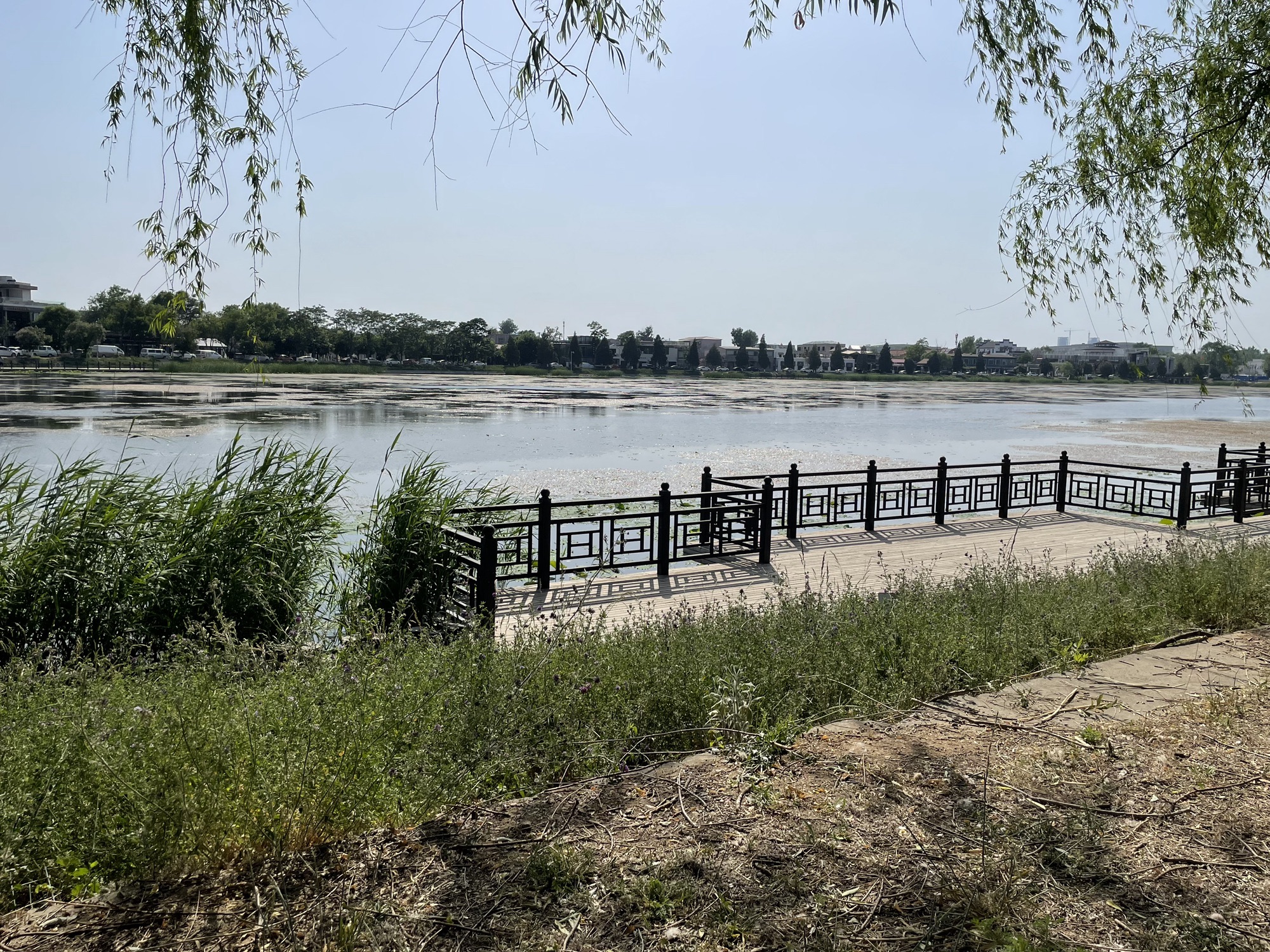 罗马湖公园旅行图片 2