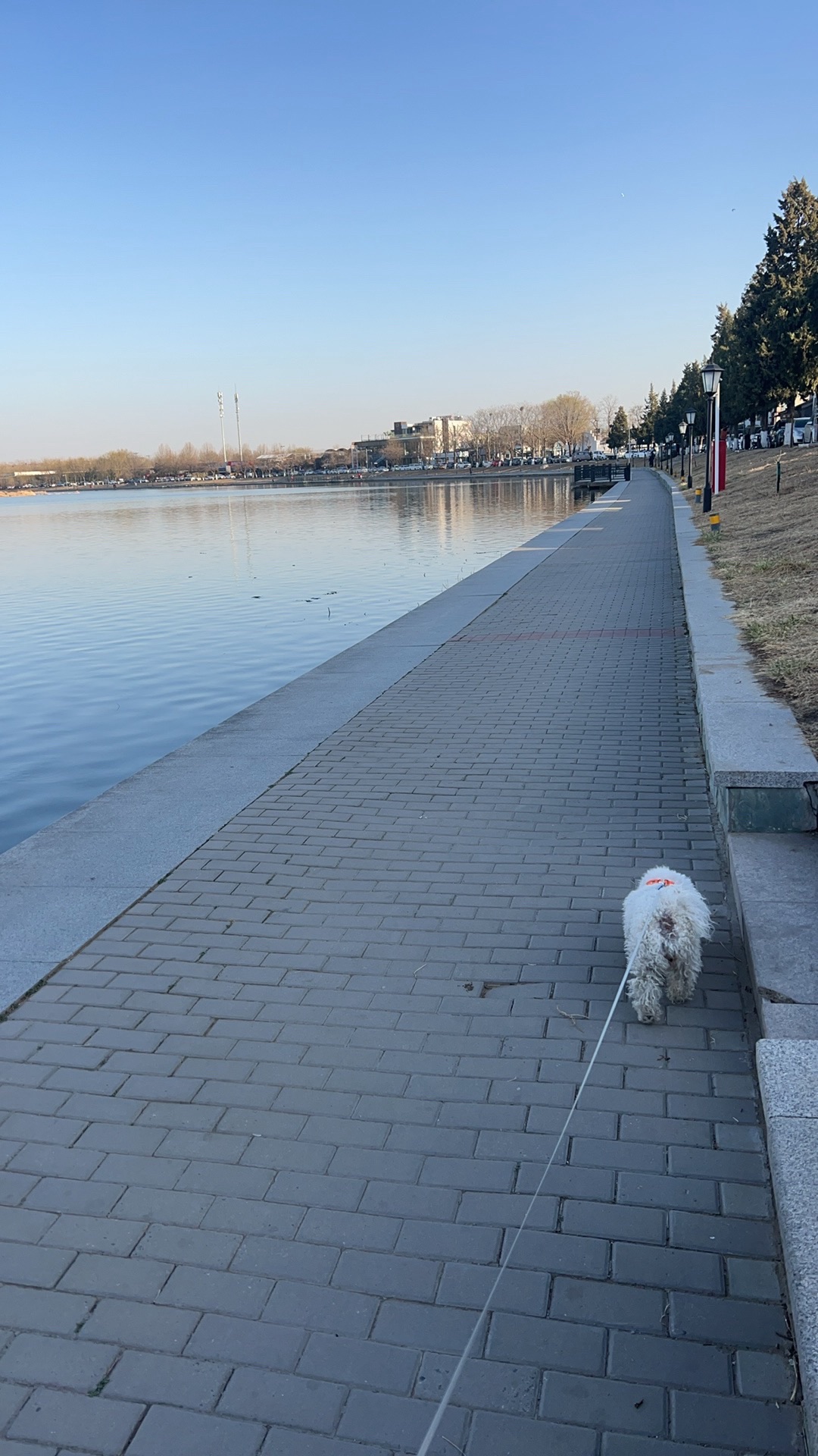 罗马湖公园旅行图片 2