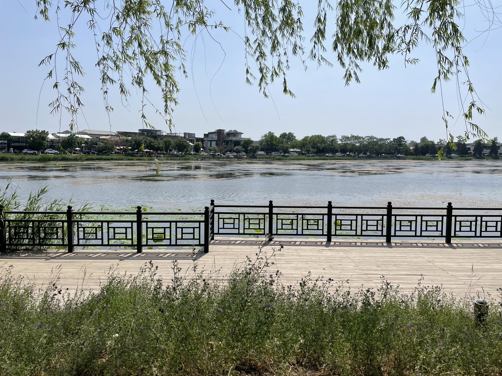 罗马湖公园旅行图片 3