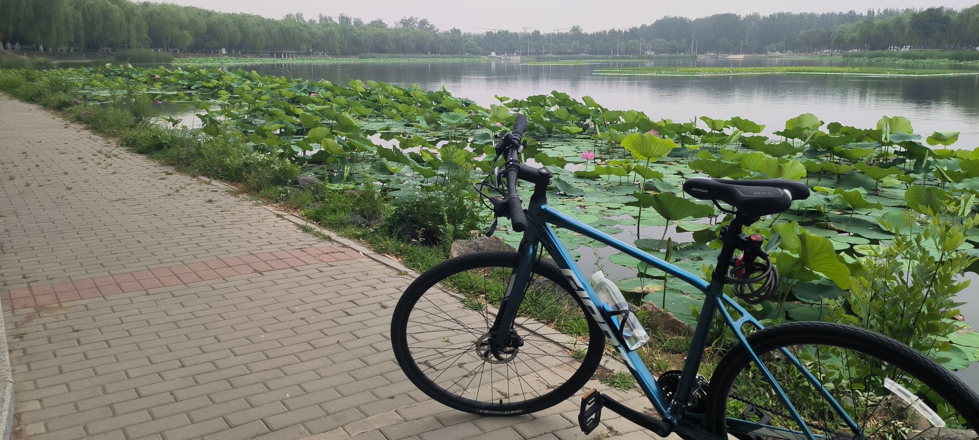 罗马湖公园旅行图片 1