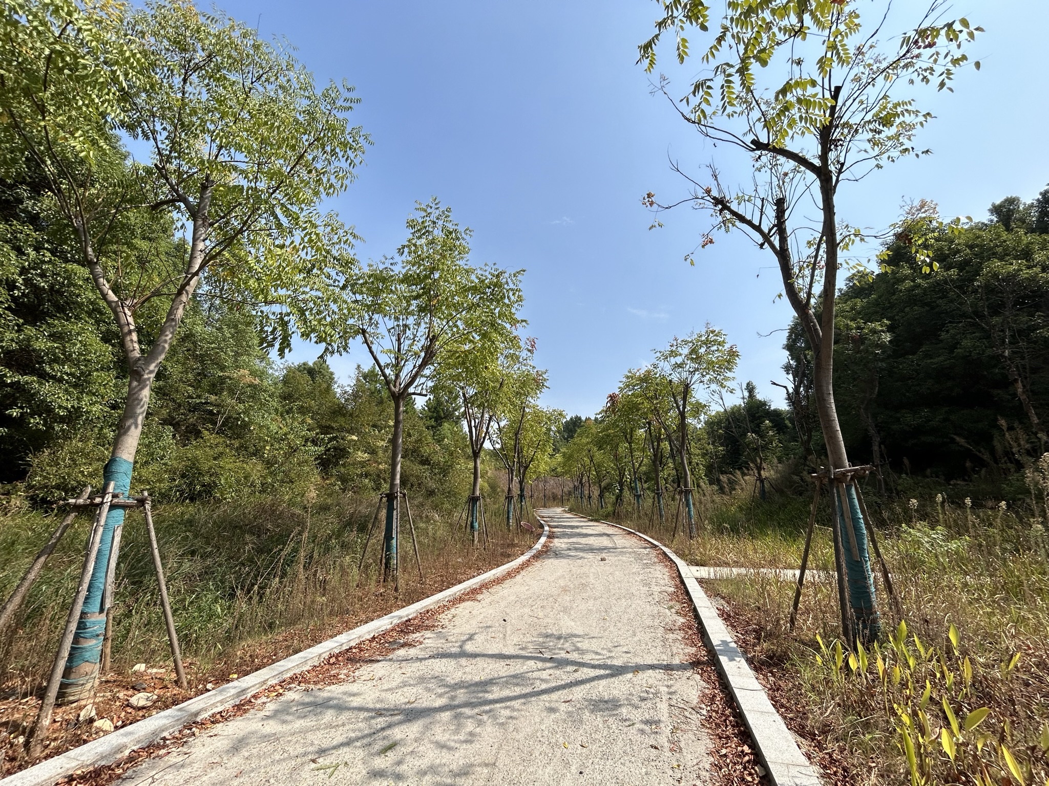 古城山公园旅行图片 3