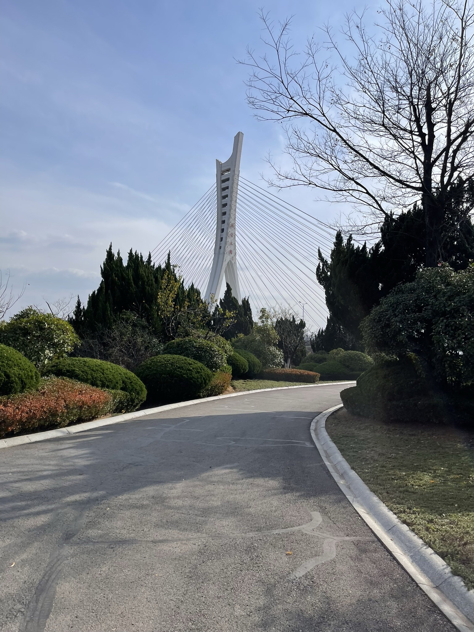 清音公园旅行图片 2