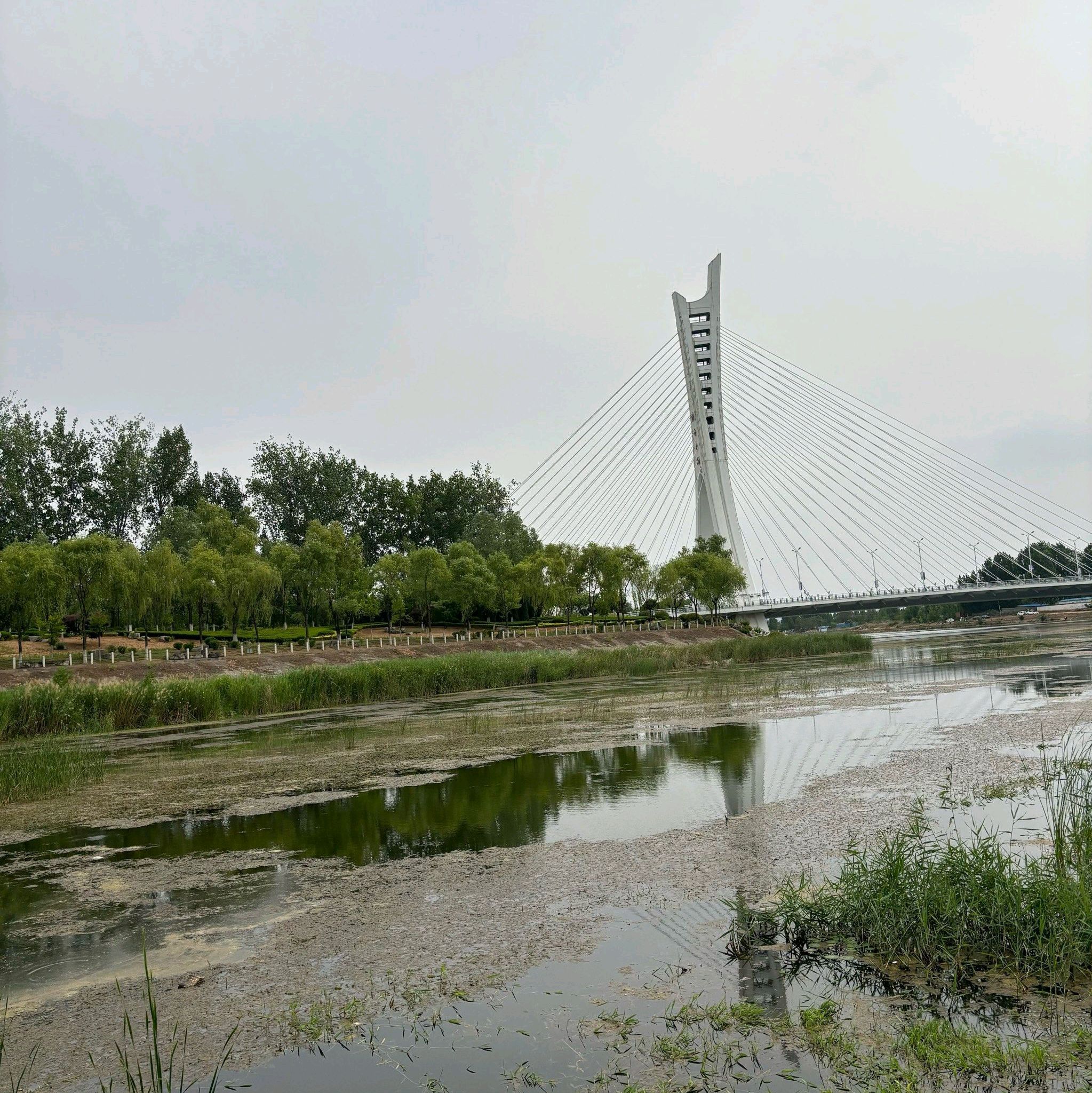 清音公园旅行图片 1
